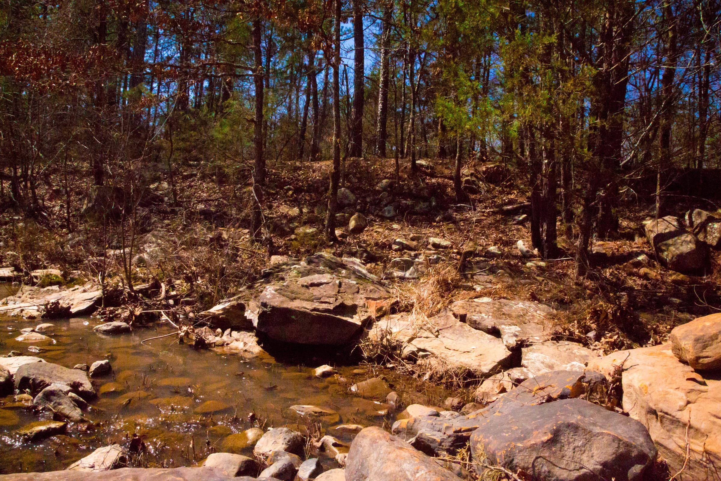 Stone Creek Phase II Tract 125 photo 6