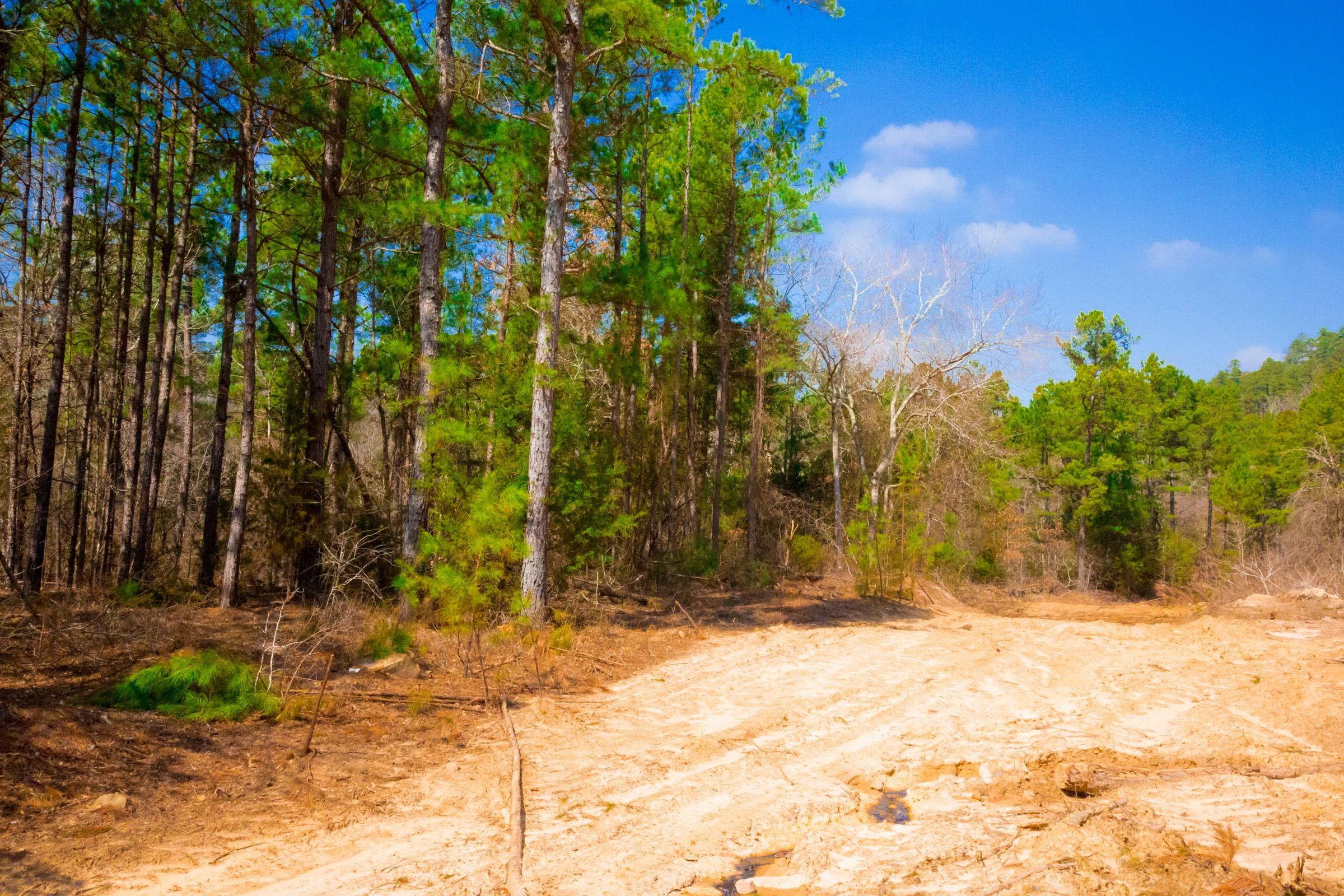 Stone Creek Phase II Tract 125 photo 7