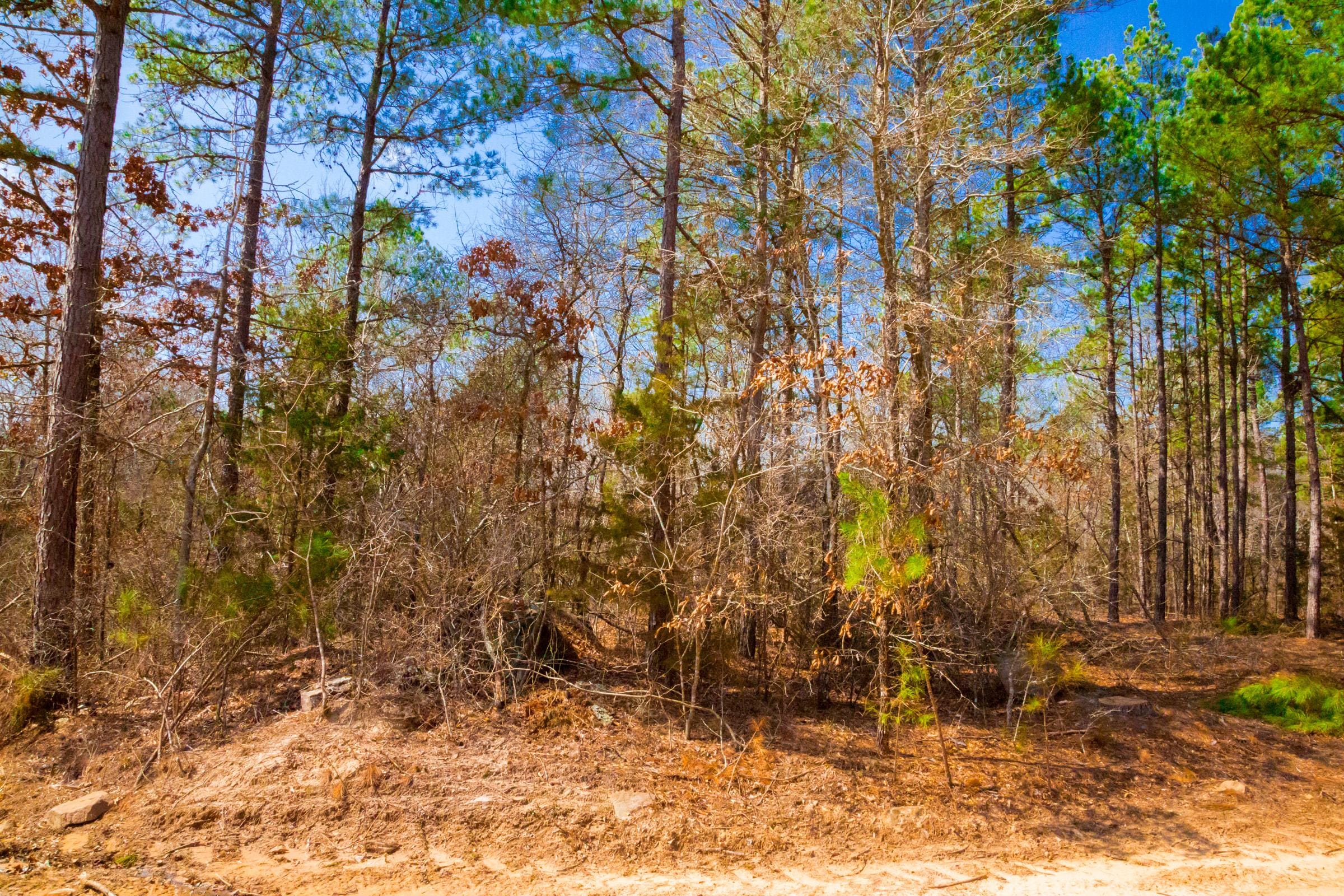 Stone Creek Phase II Tract 125 photo 8
