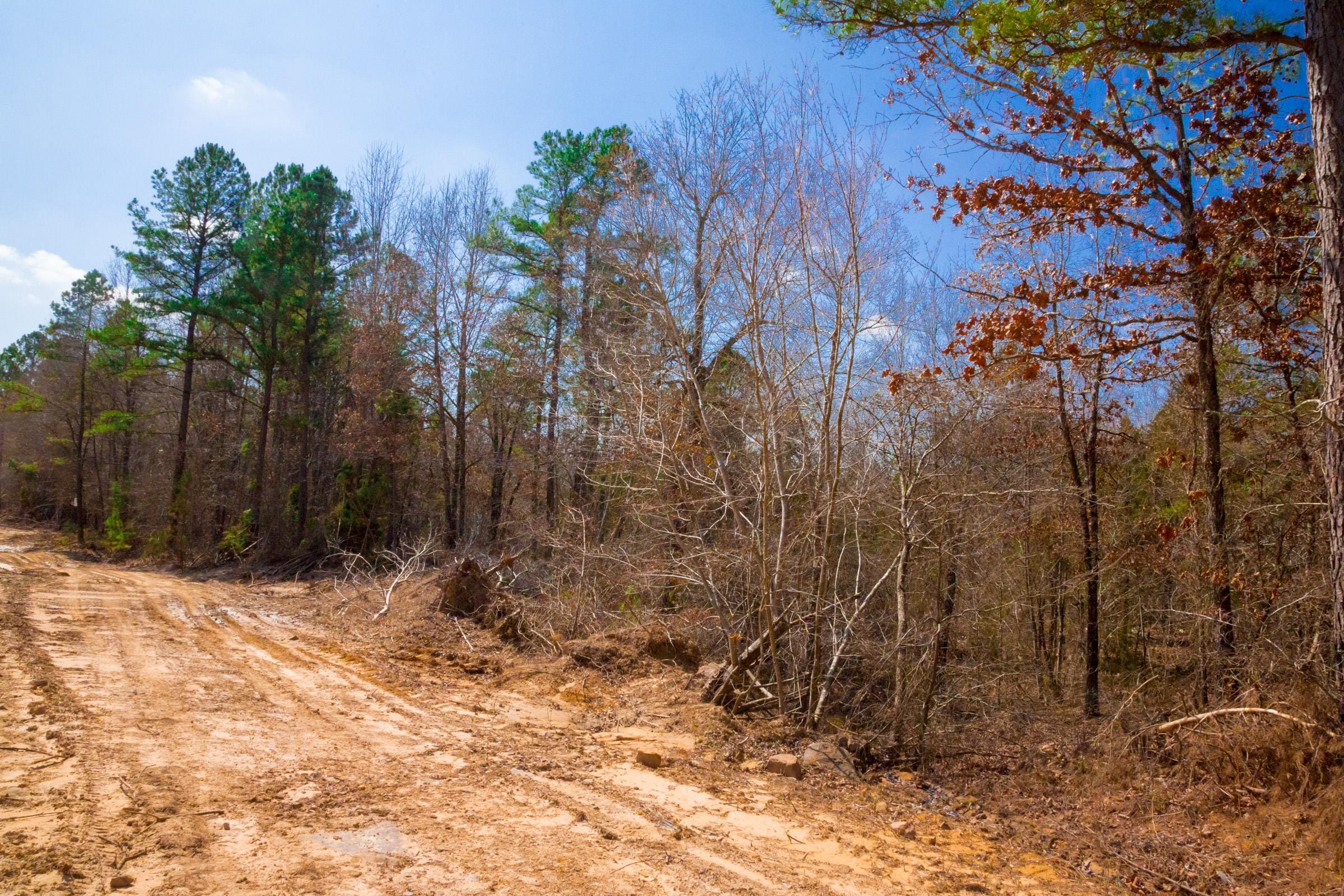 Stone Creek Phase II Tract 125 photo 9