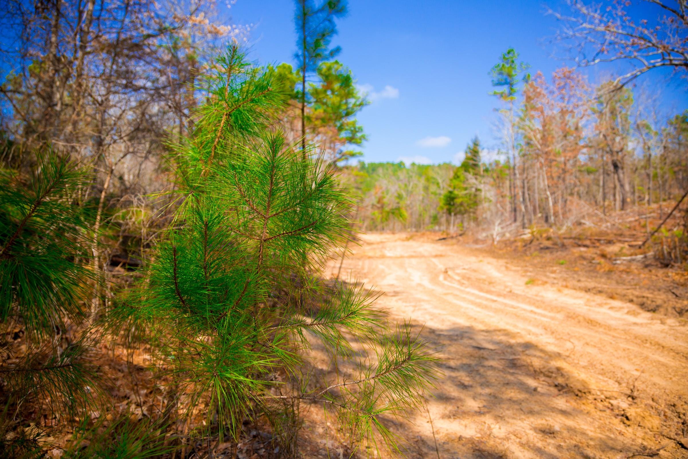 Stone Creek Phase II Tract 125 photo 10