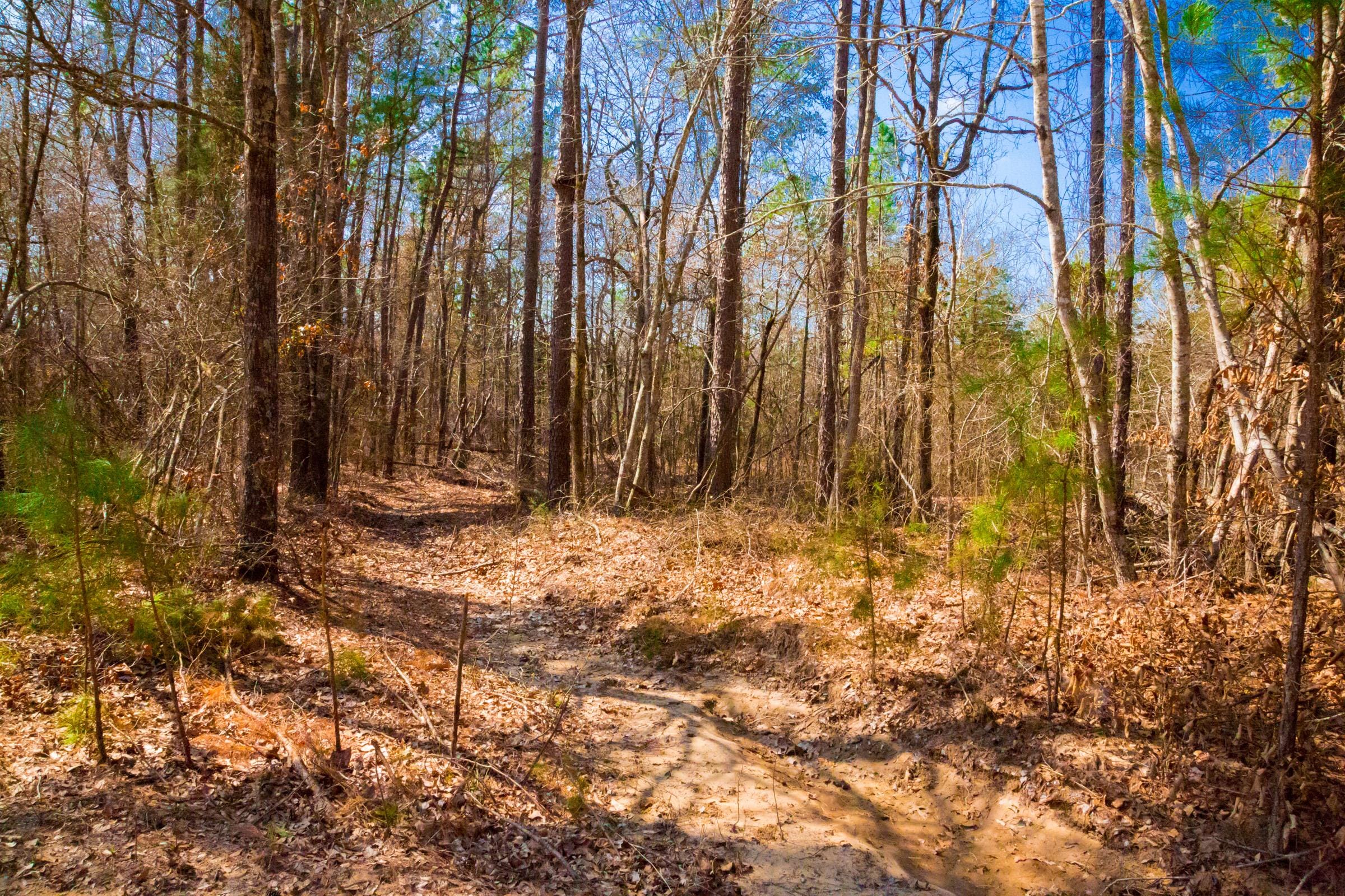 Stone Creek Phase II Tract 125 photo 12