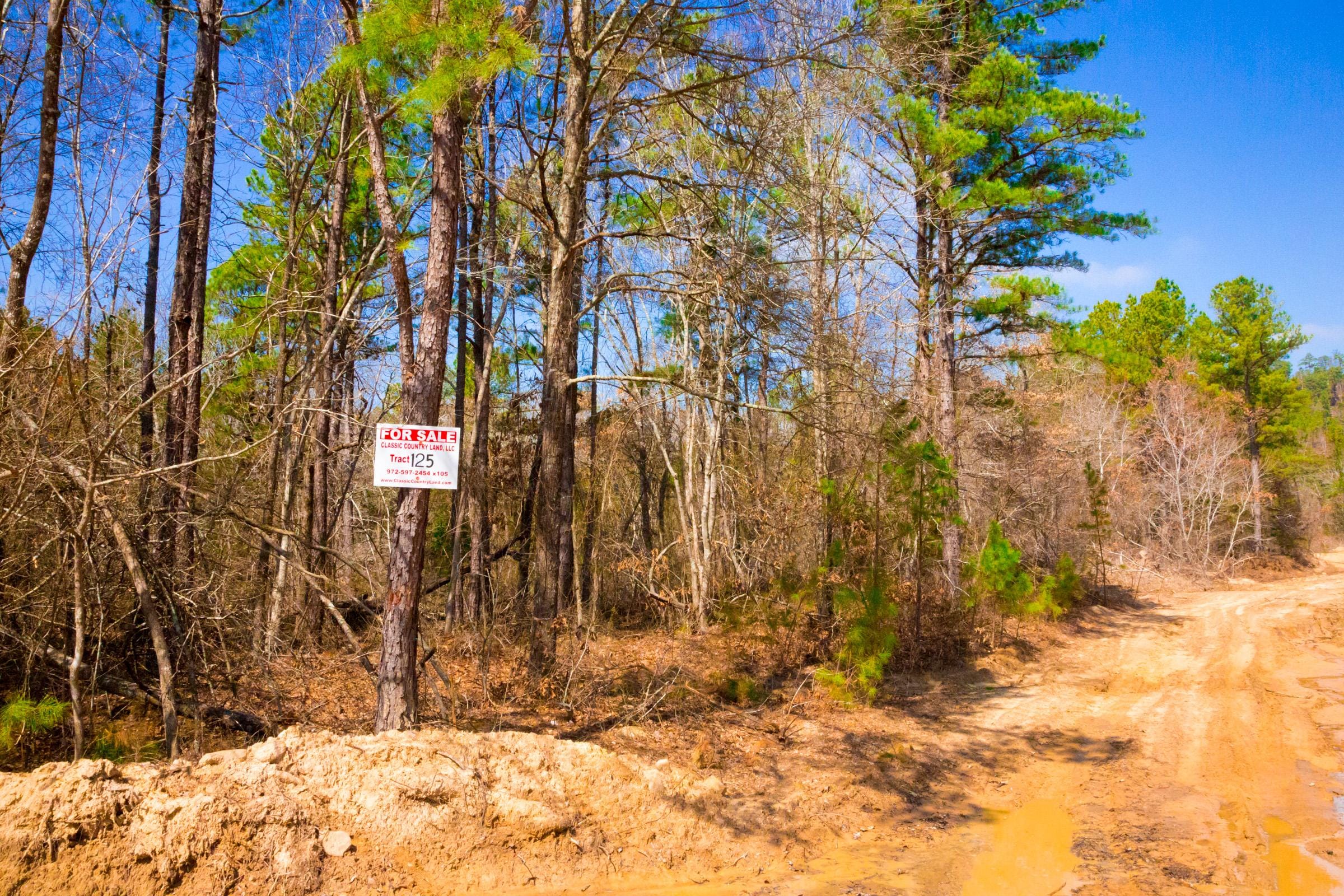 Stone Creek Phase II Tract 125 photo 1