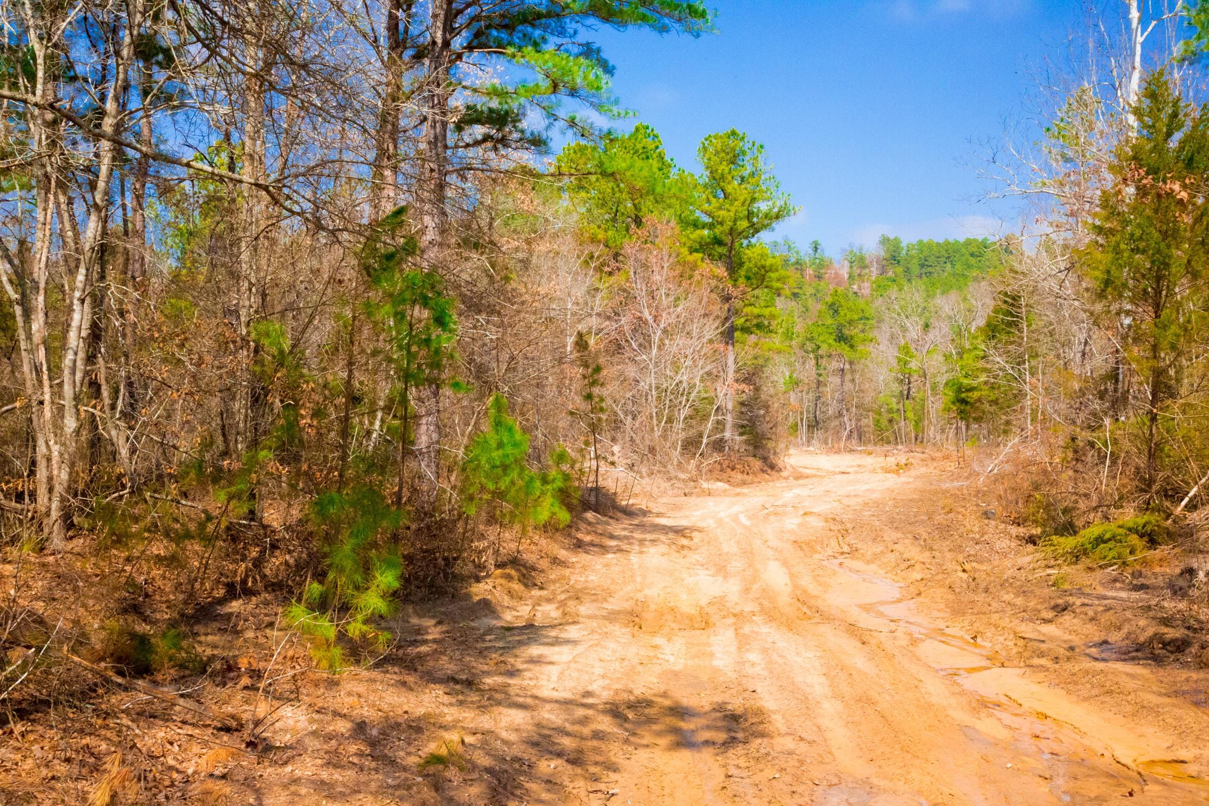 Stone Creek Phase II Tract 125 photo 2
