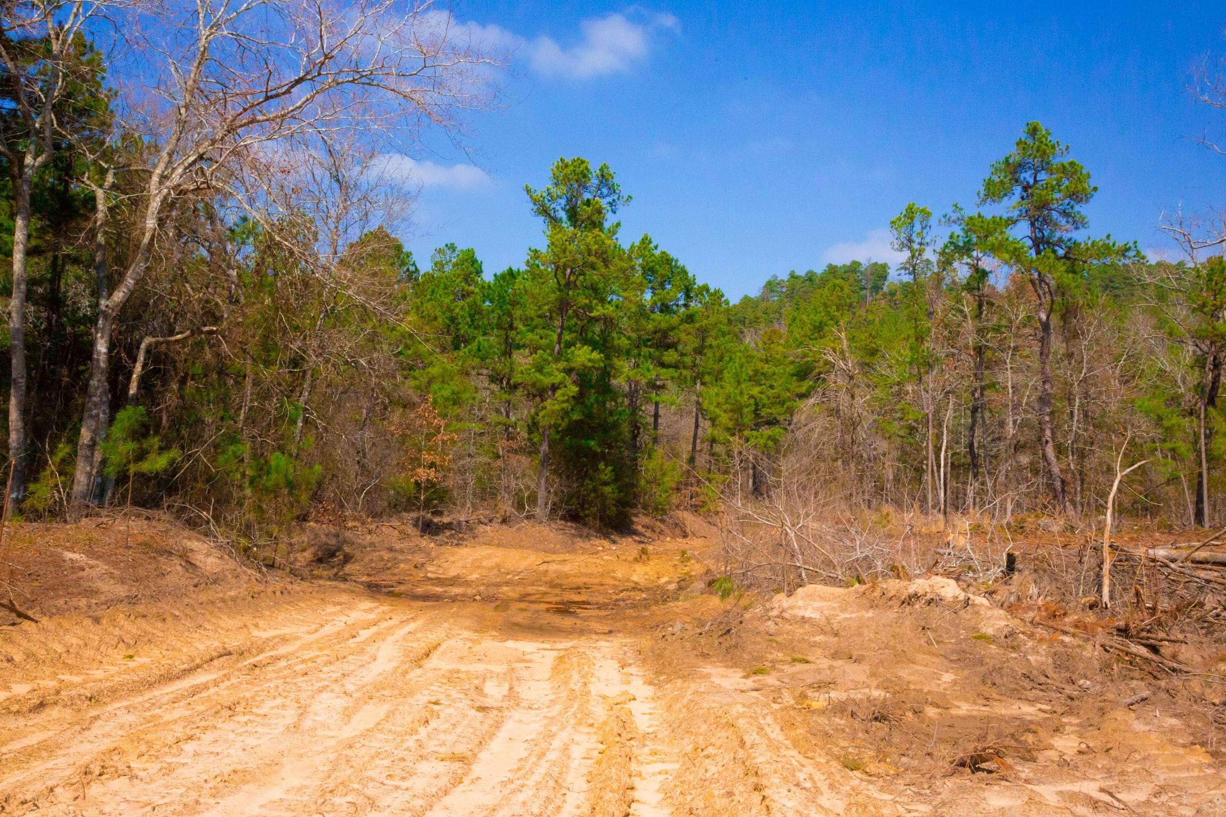 Stone Creek Phase II Tract 125 photo 13