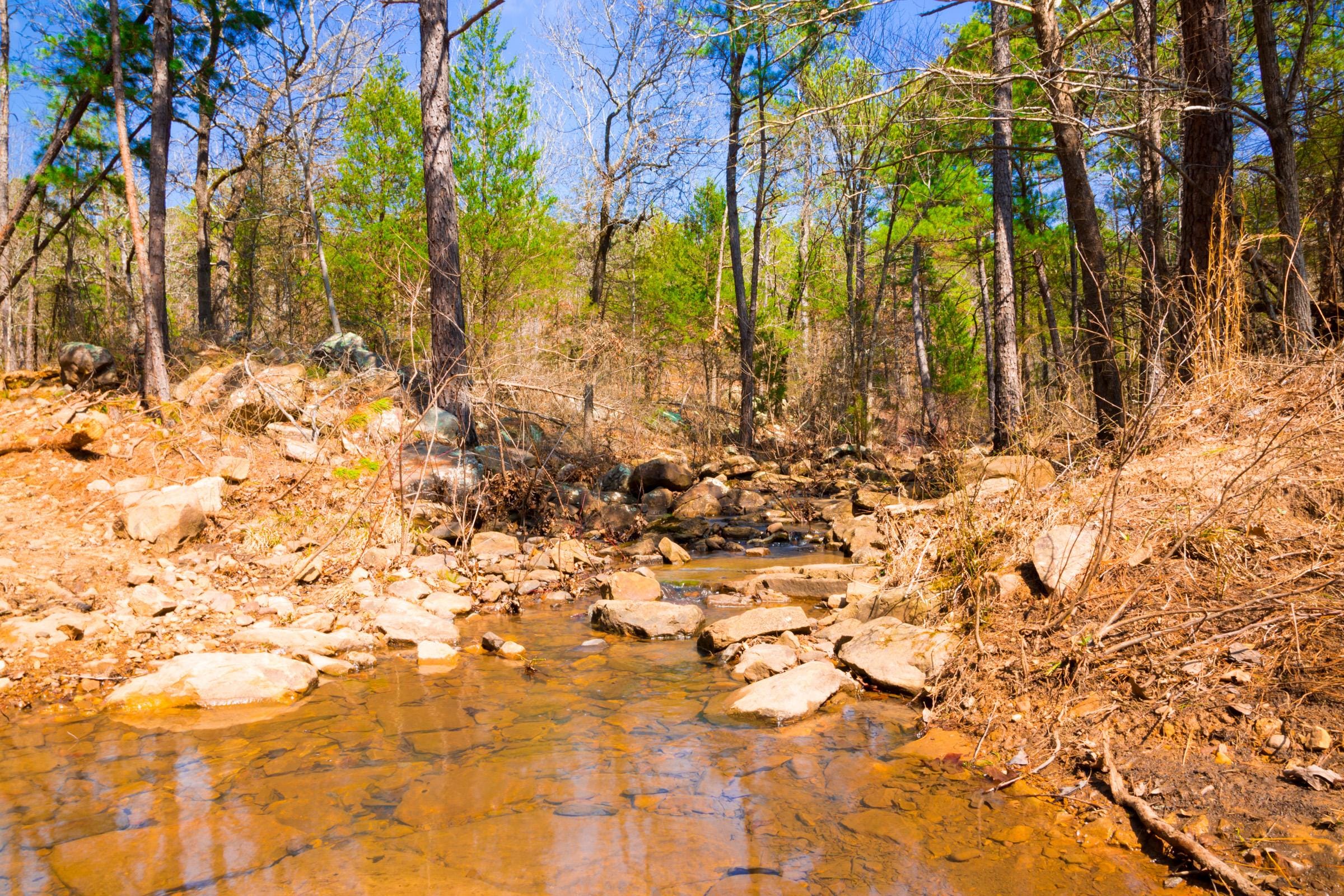 Stone Creek Phase II Tract 125 photo 5