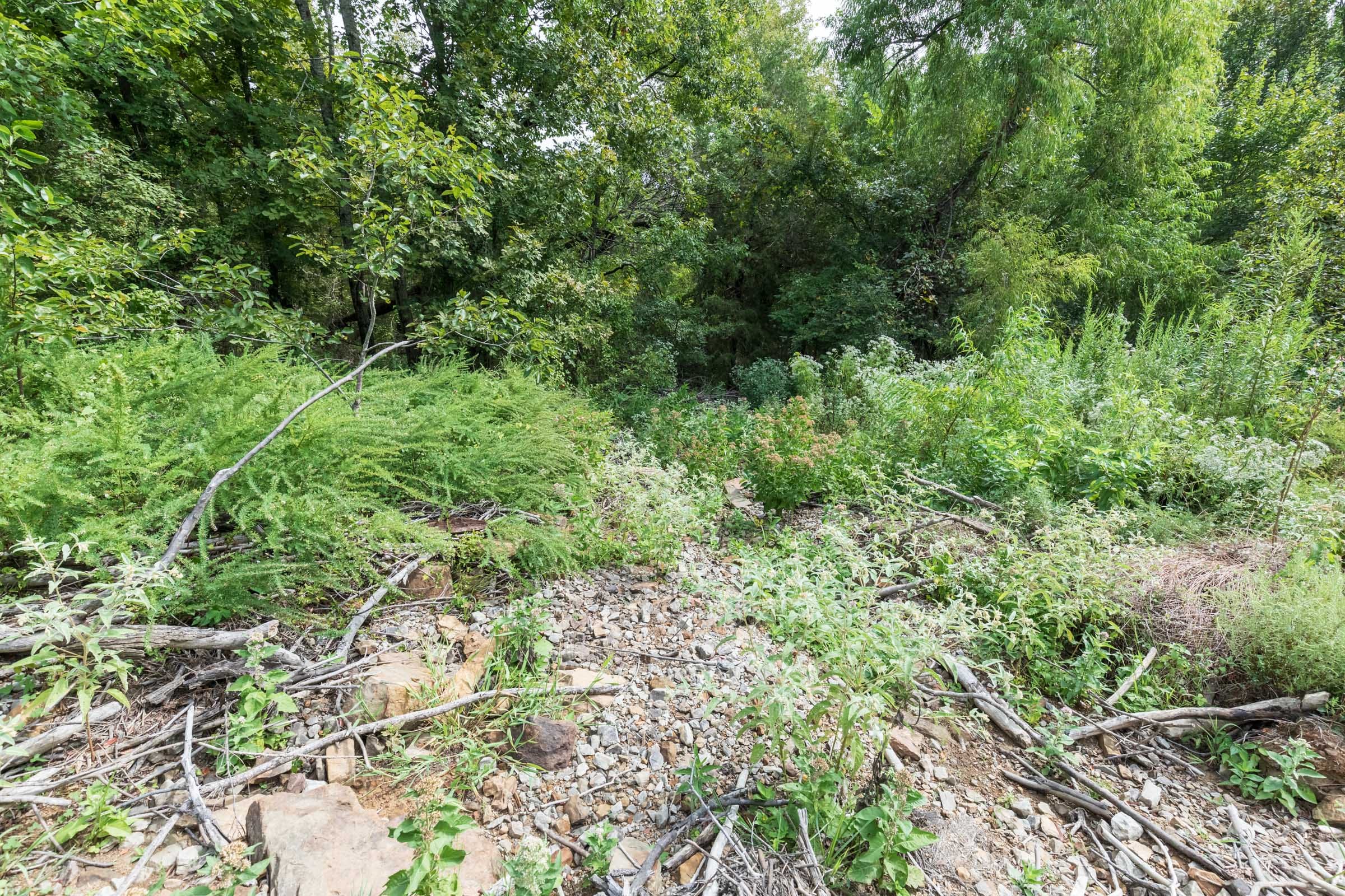 Stone Bridge Phase V Tract 326 photo 6