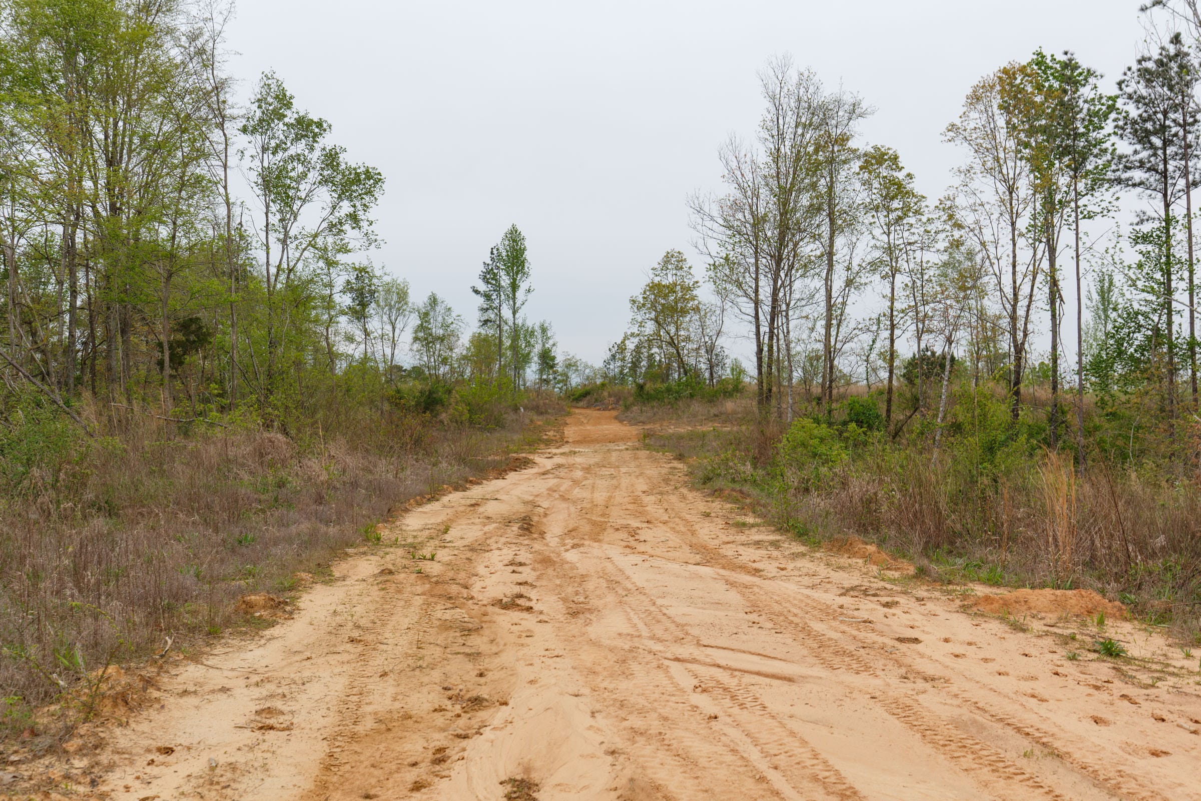 Twin Rivers Tract 28 photo 2