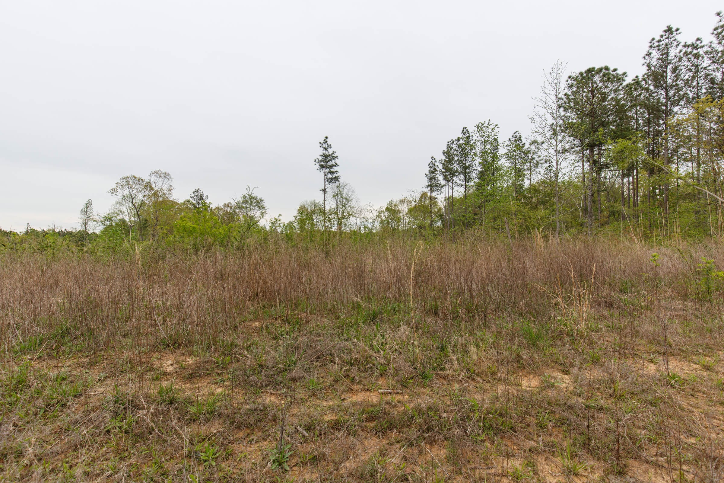 Twin Rivers Tract 28 photo 1