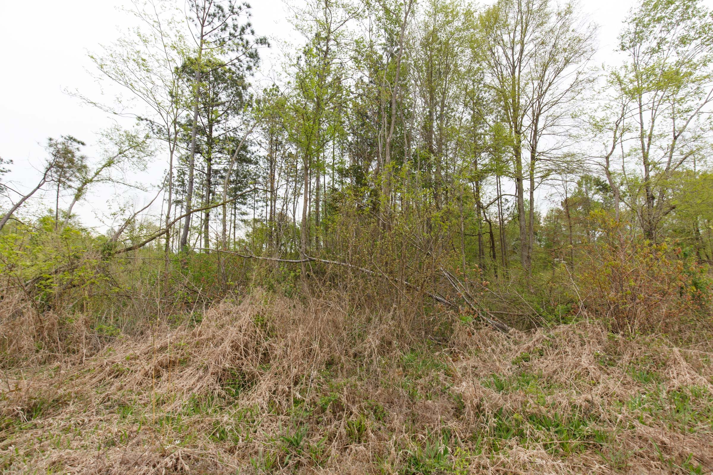 Twin Rivers Tract 28 photo 3