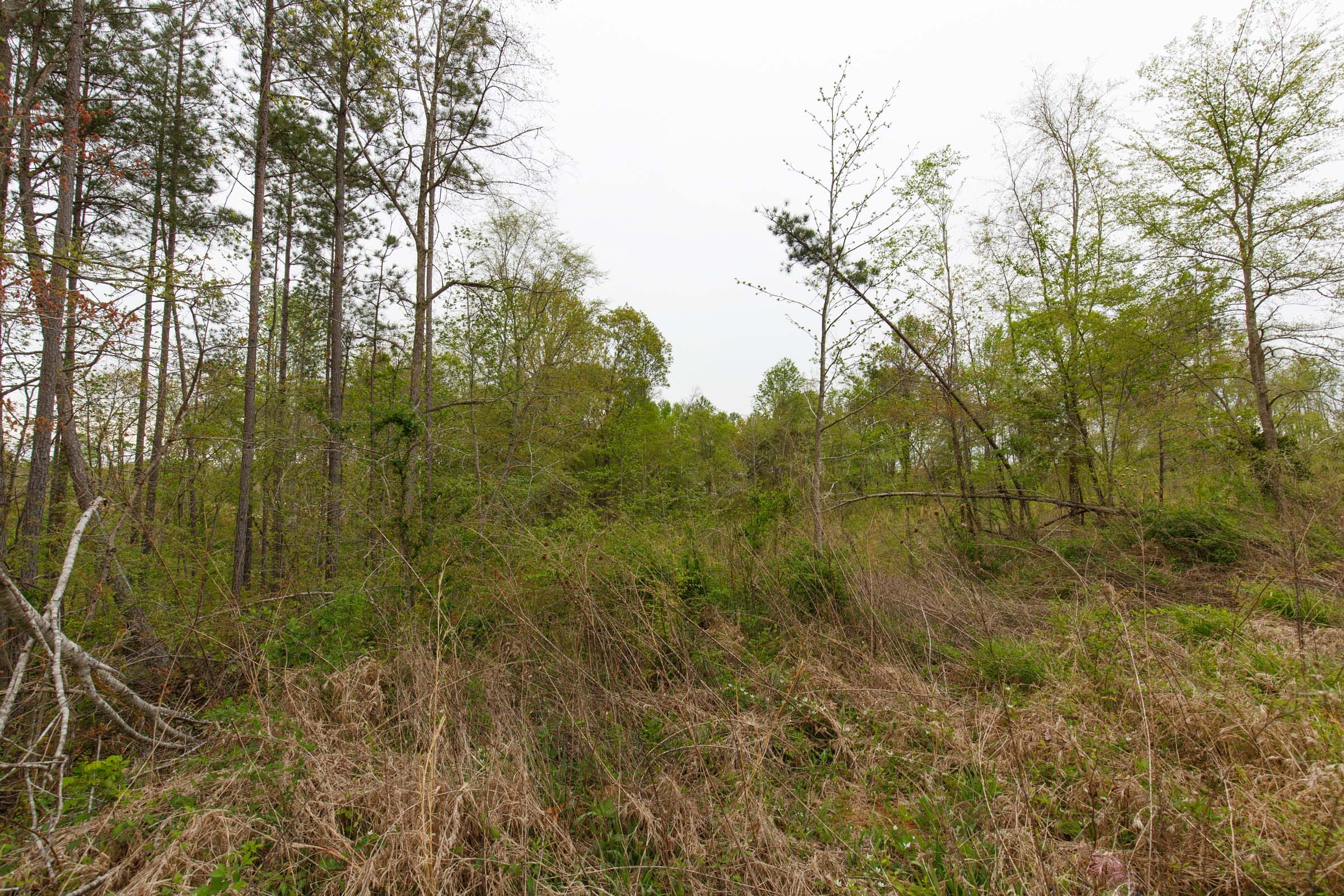Twin Rivers Tract 28 photo 5
