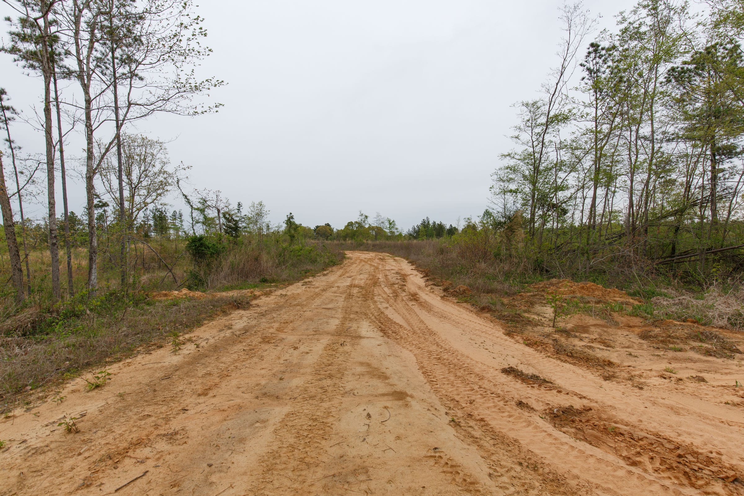 Twin Rivers Tract 28 photo 4