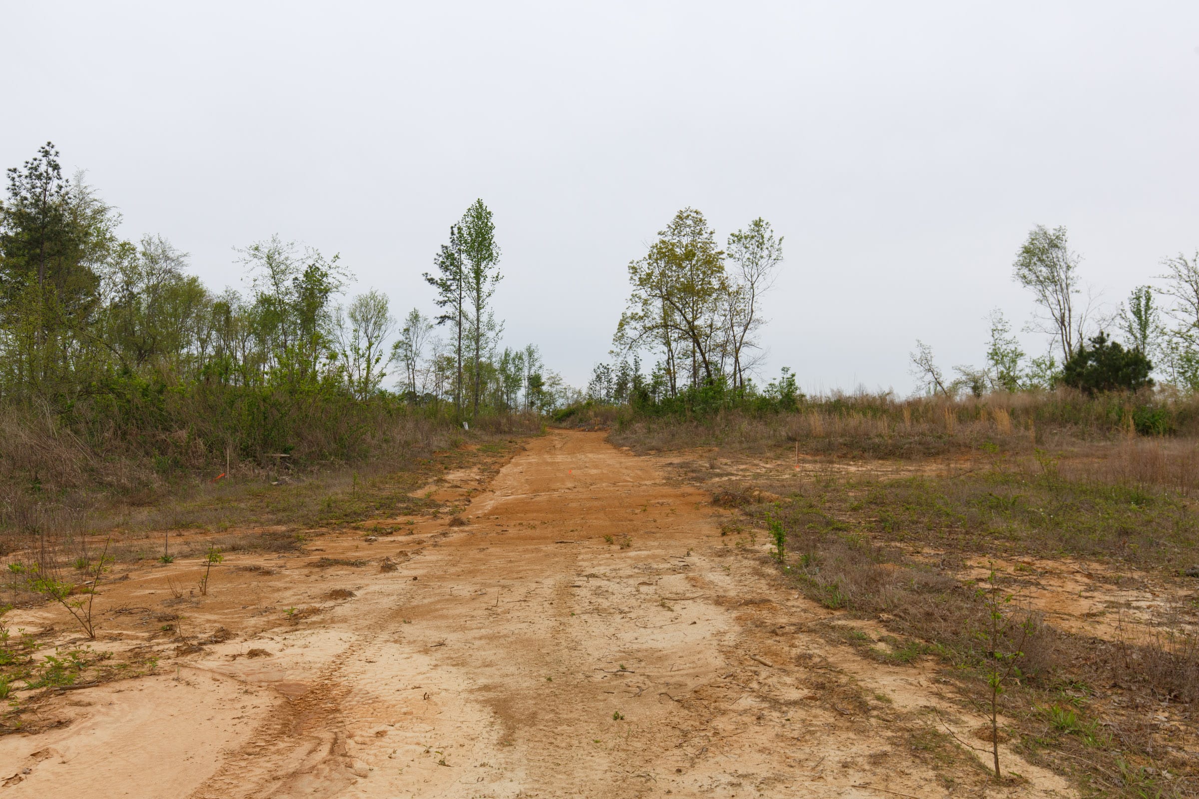 Twin Rivers Tract 28 photo 7
