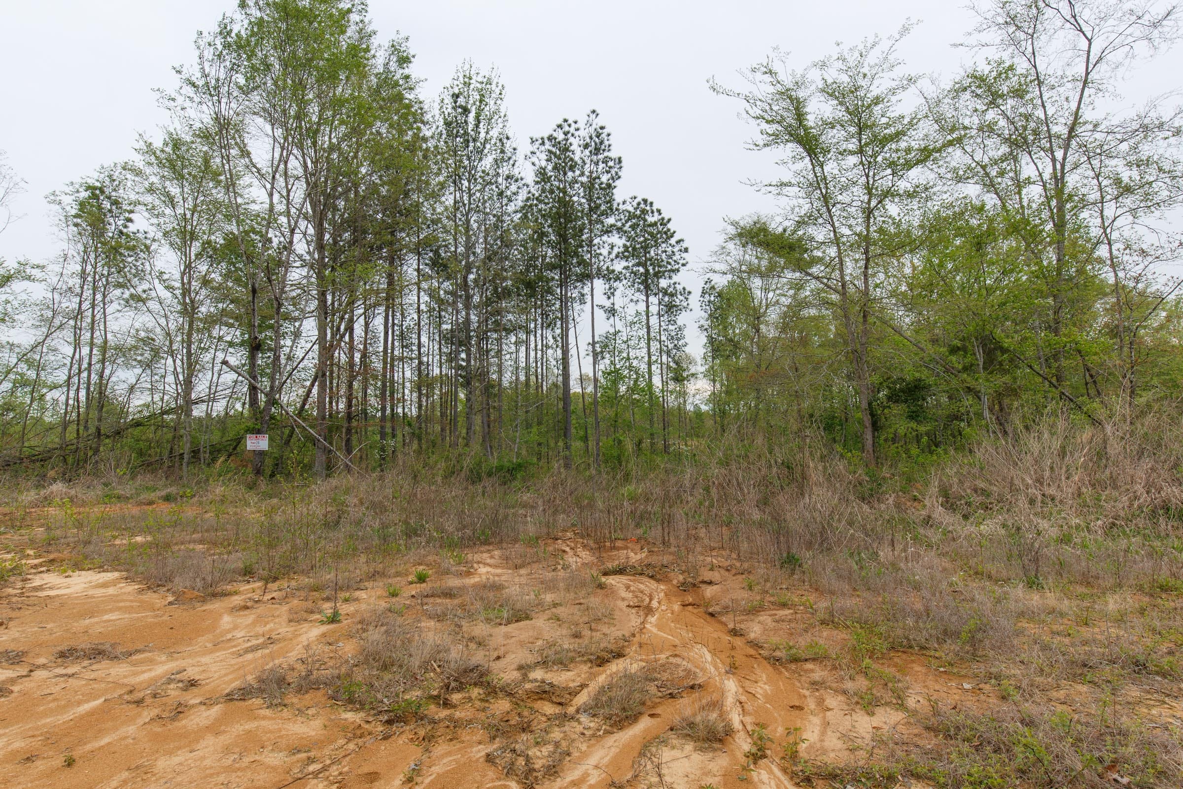Twin Rivers Tract 28 photo 9
