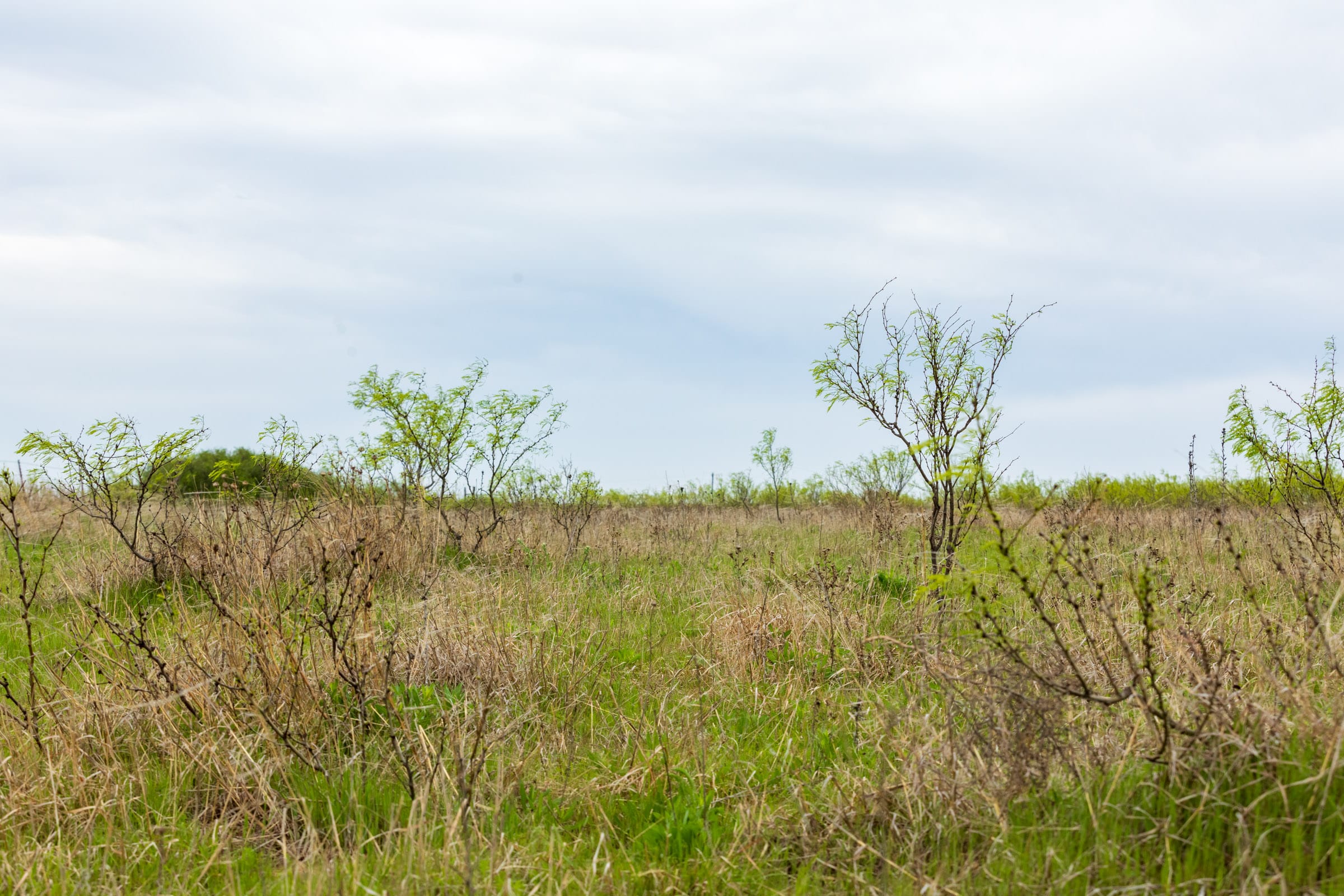 Granite Valley Tract 2 photo 9