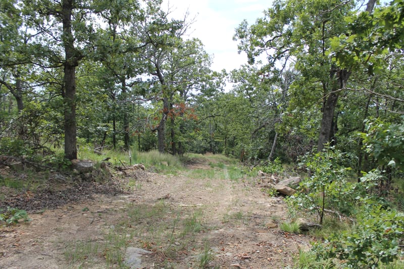 Trophy Ridge Phase III Tract 17 photo 1