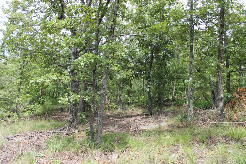 Trophy Ridge Phase III Tract 17 photo 2