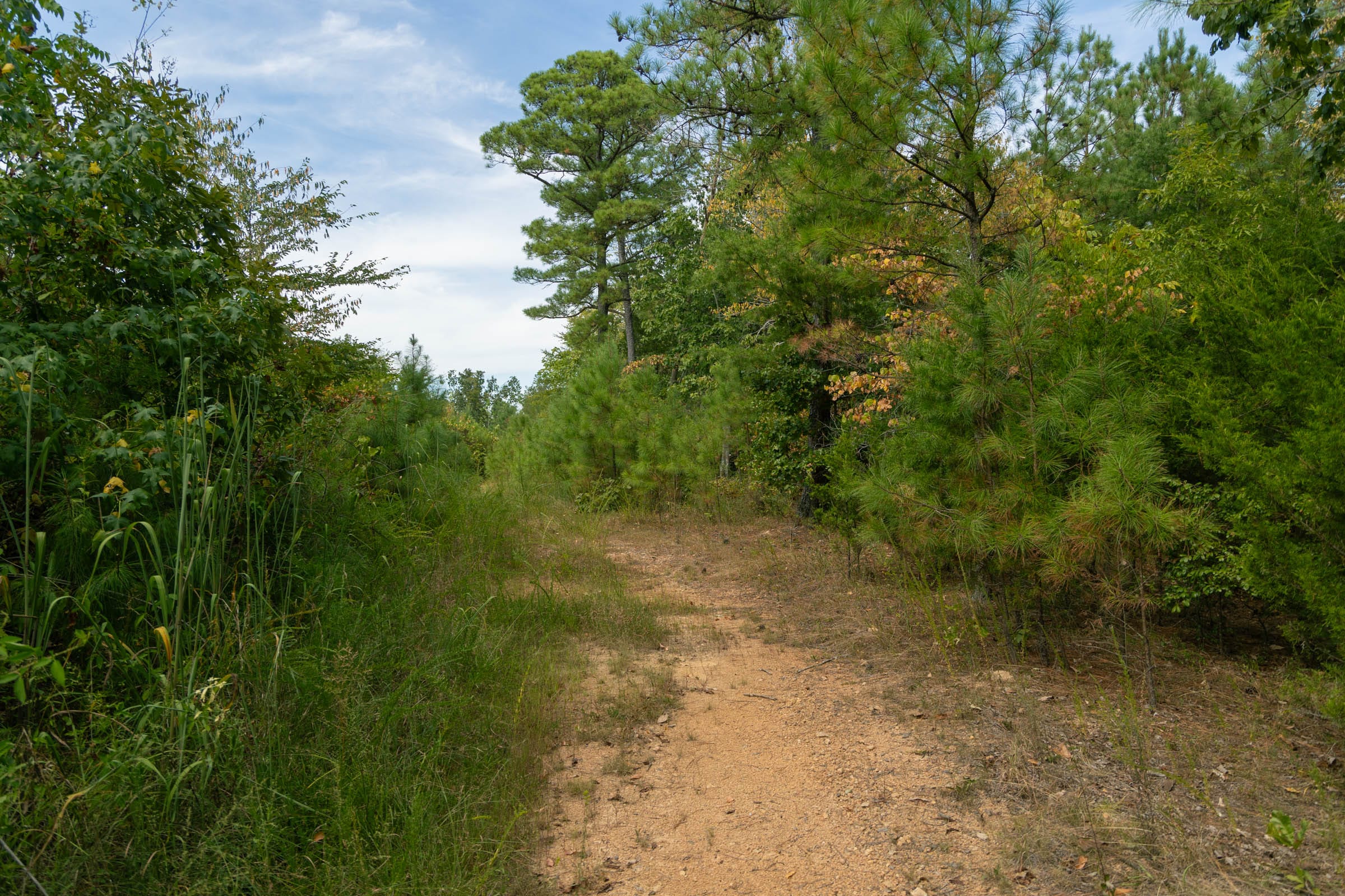 Big White Oak Tract 34 photo 2