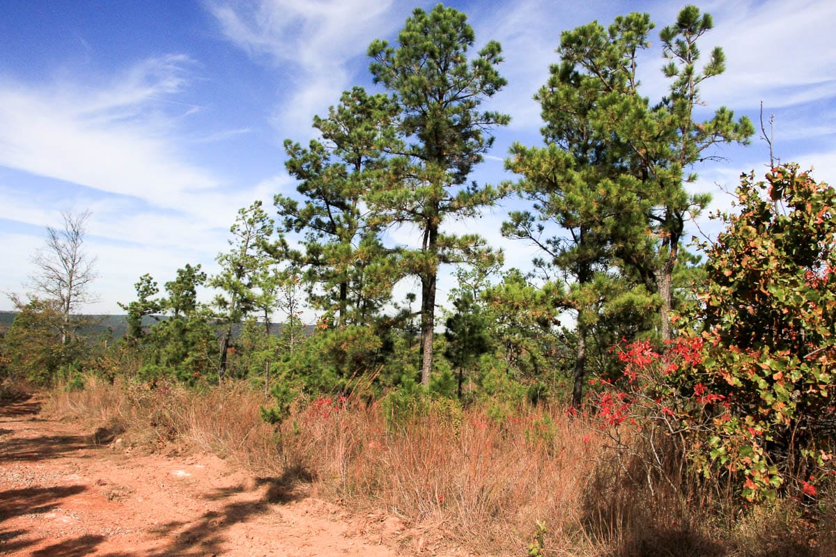 Stone Creek Phase III Tract 48 photo 4