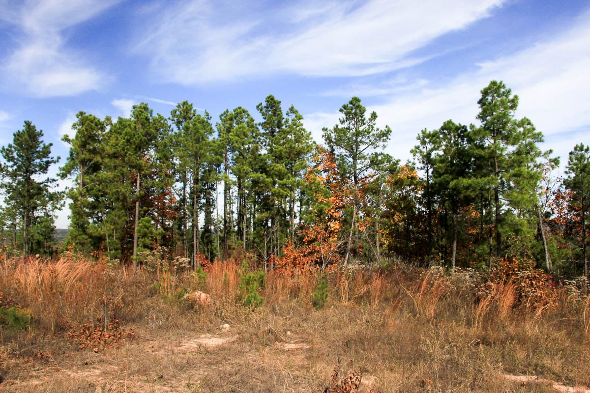 Stone Creek Phase III Tract 48 photo 7
