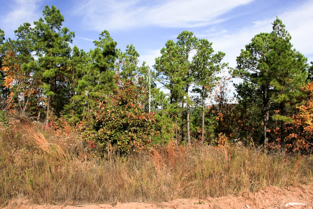 Stone Creek Phase III Tract 48 photo 9