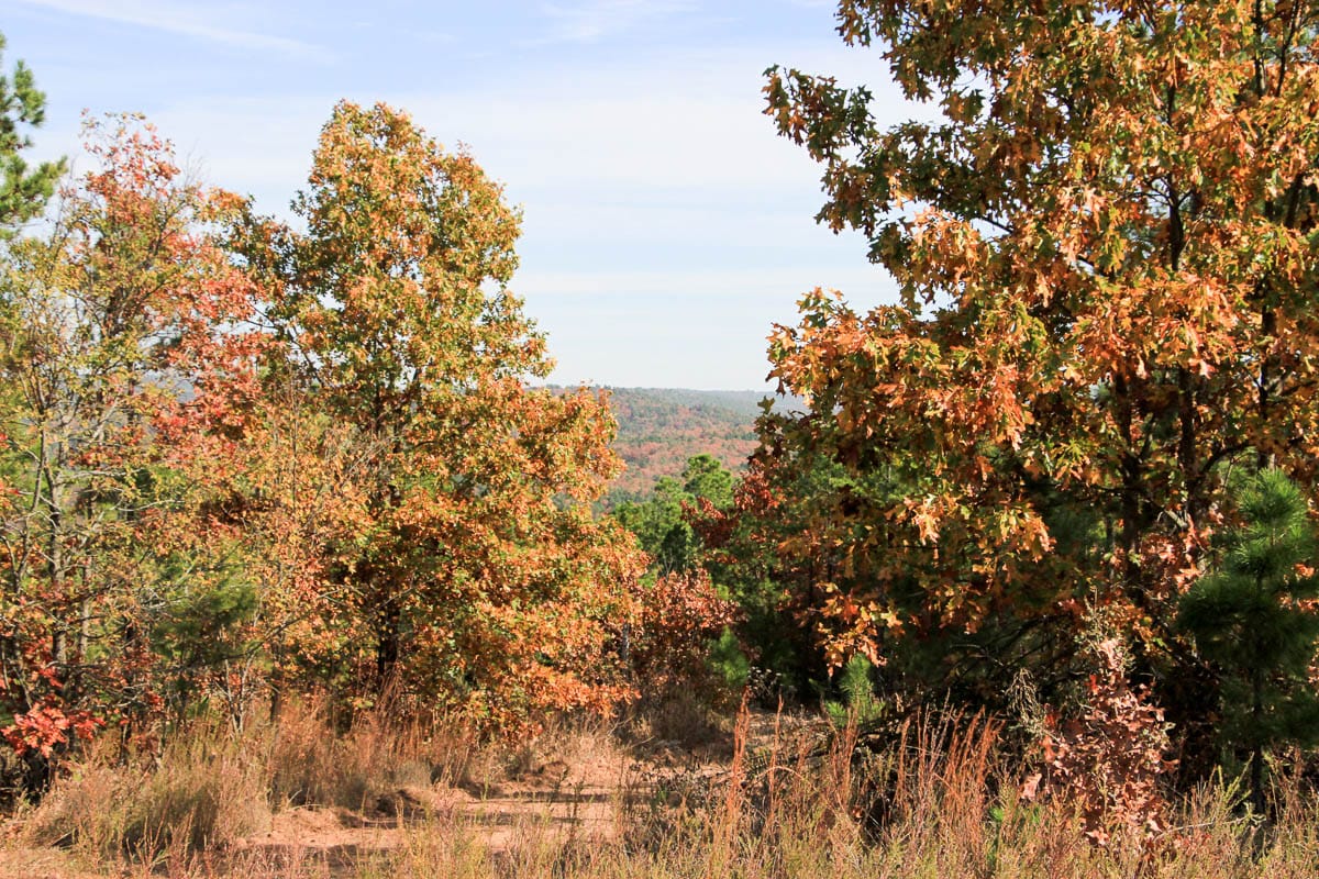 Stone Creek Phase III Tract 48 photo 10