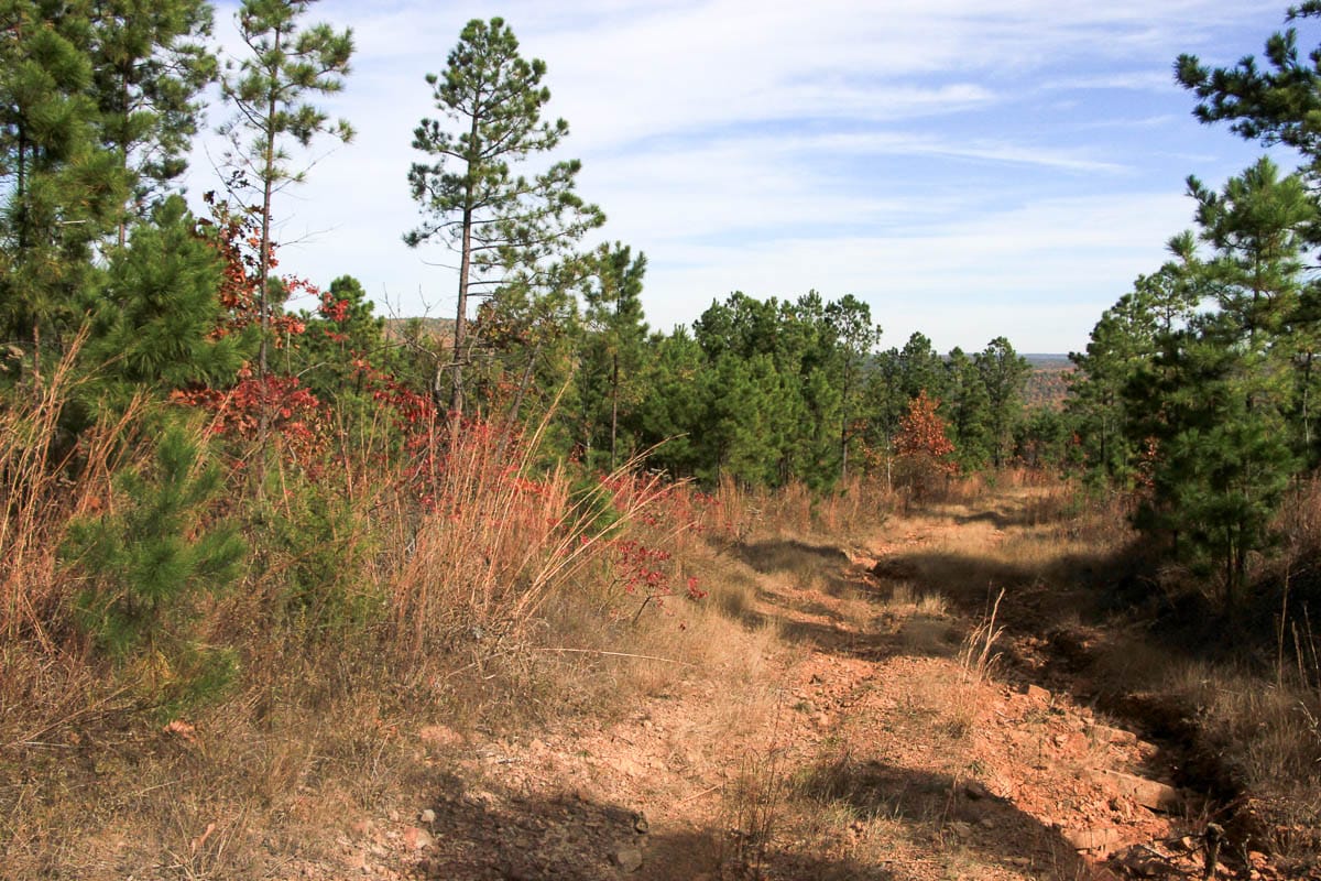 Stone Creek Phase III Tract 48 photo 12