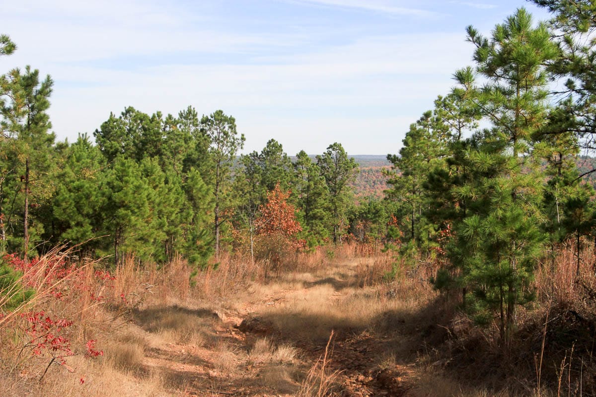 Stone Creek Phase III Tract 48 photo 13