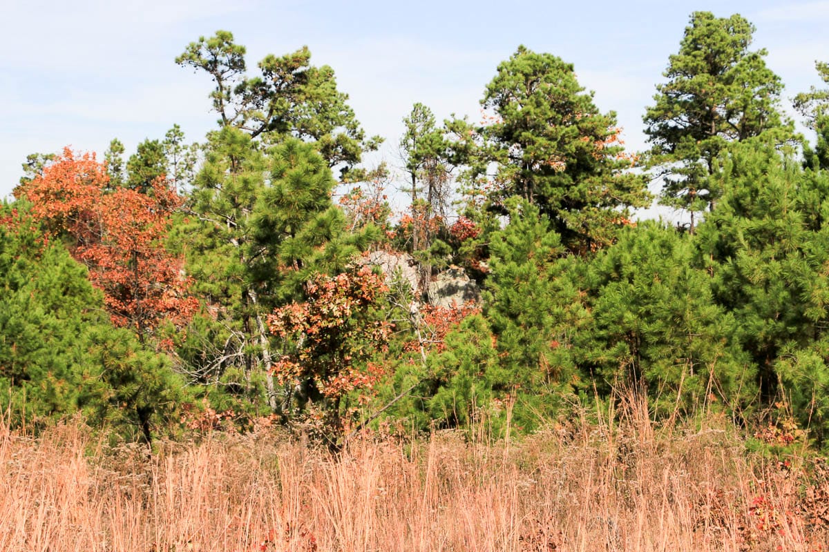 Stone Creek Phase III Tract 48 photo 17