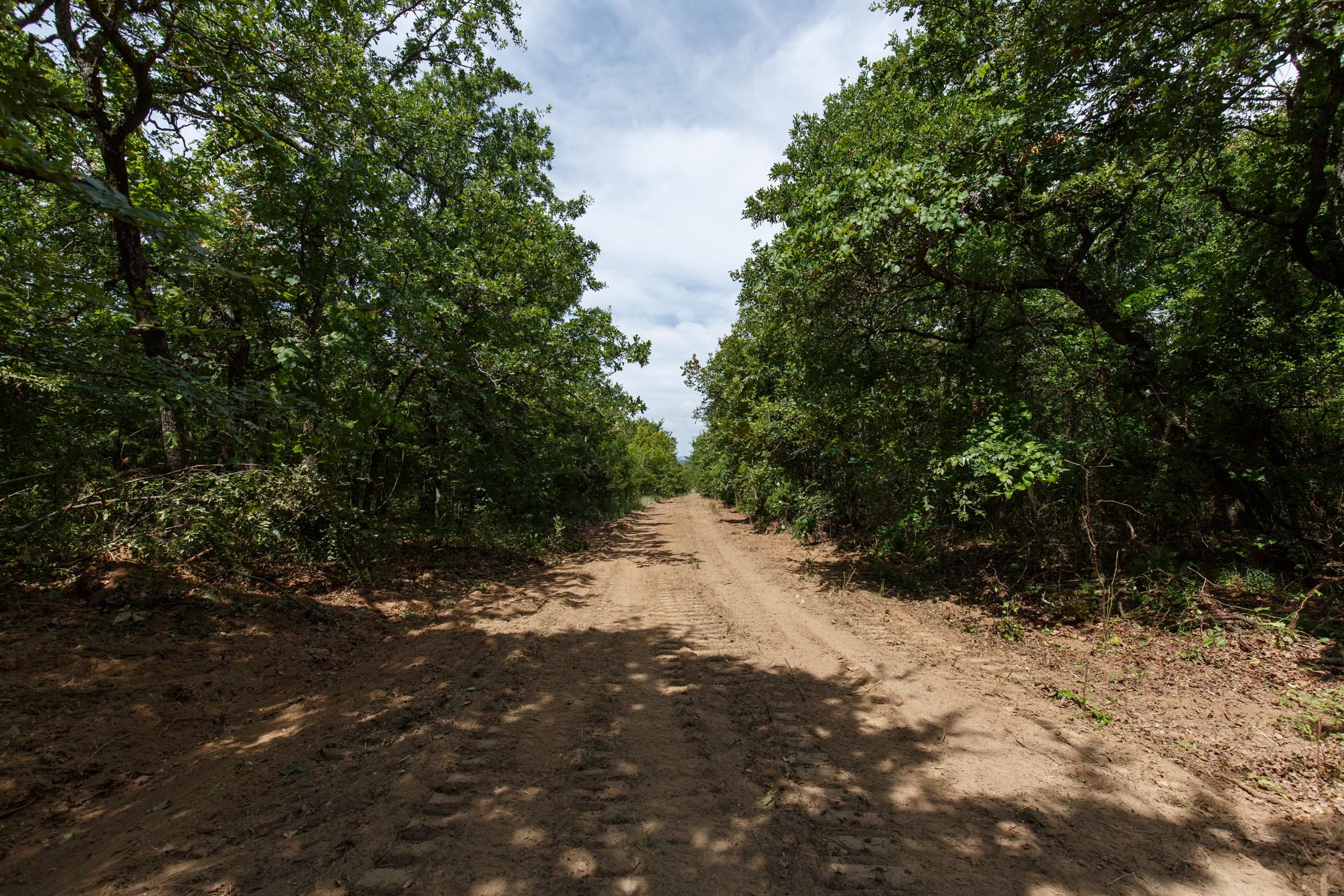 Timber Ridge Tract 28 photo 1