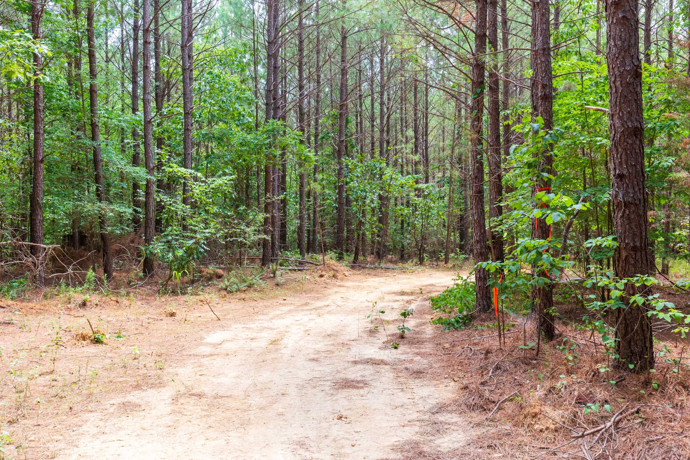 Whiskey Ridge Tract 84 photo 1
