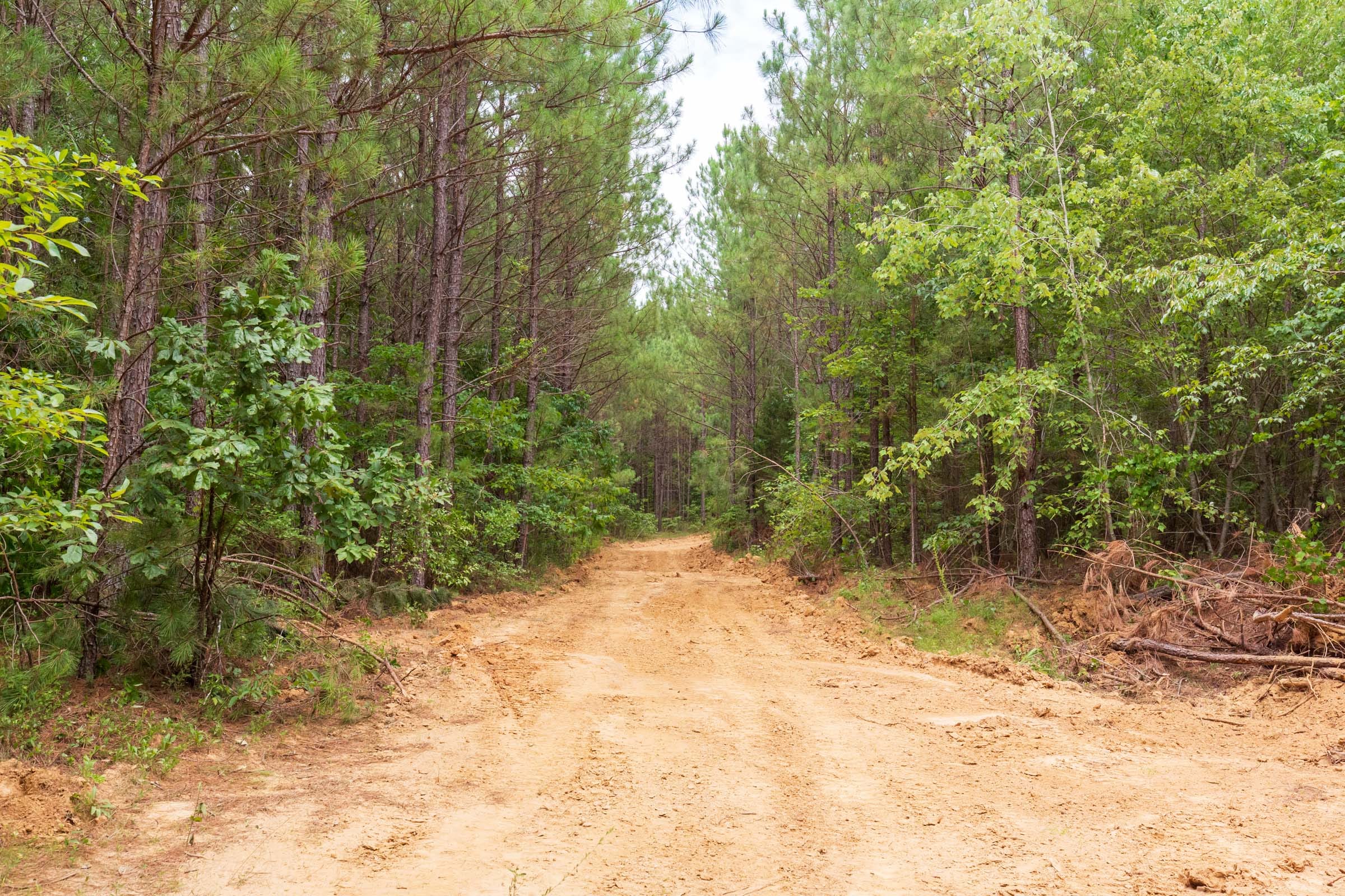 Whiskey Ridge Tract 84 photo 10