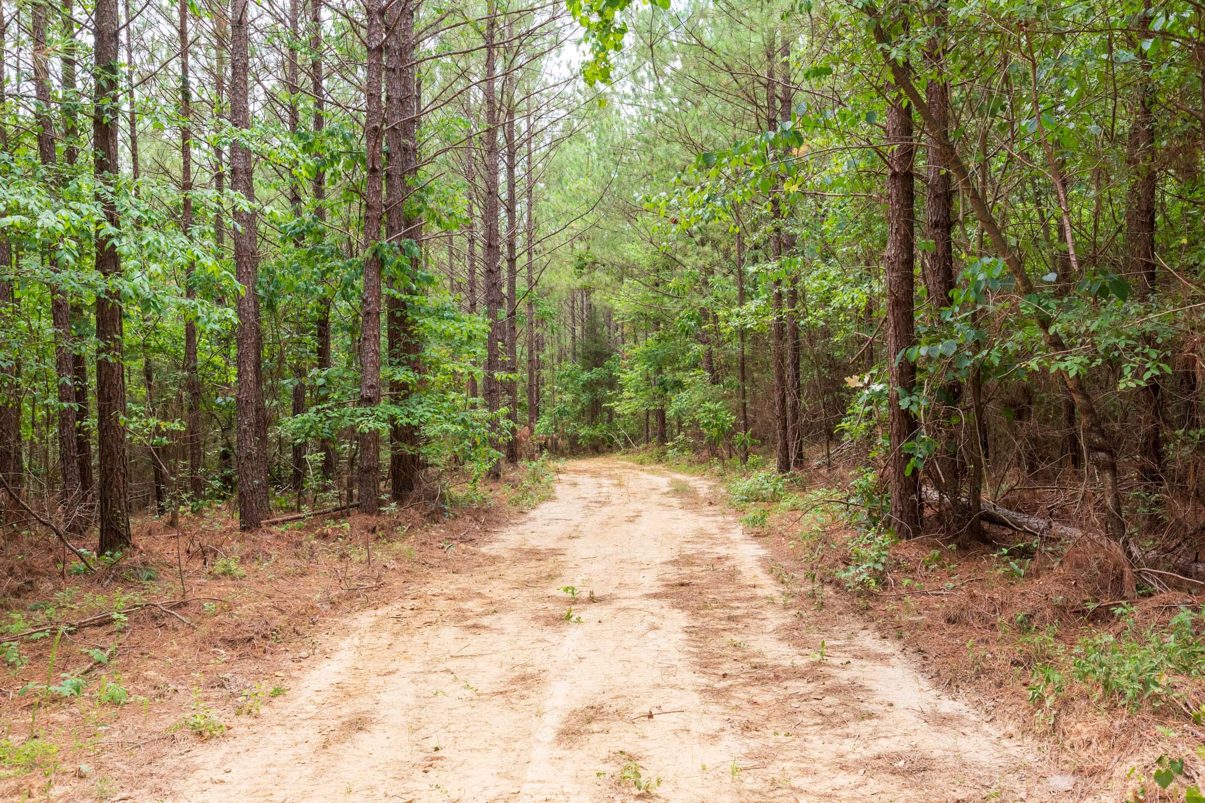 Whiskey Ridge Tract 84 photo 11