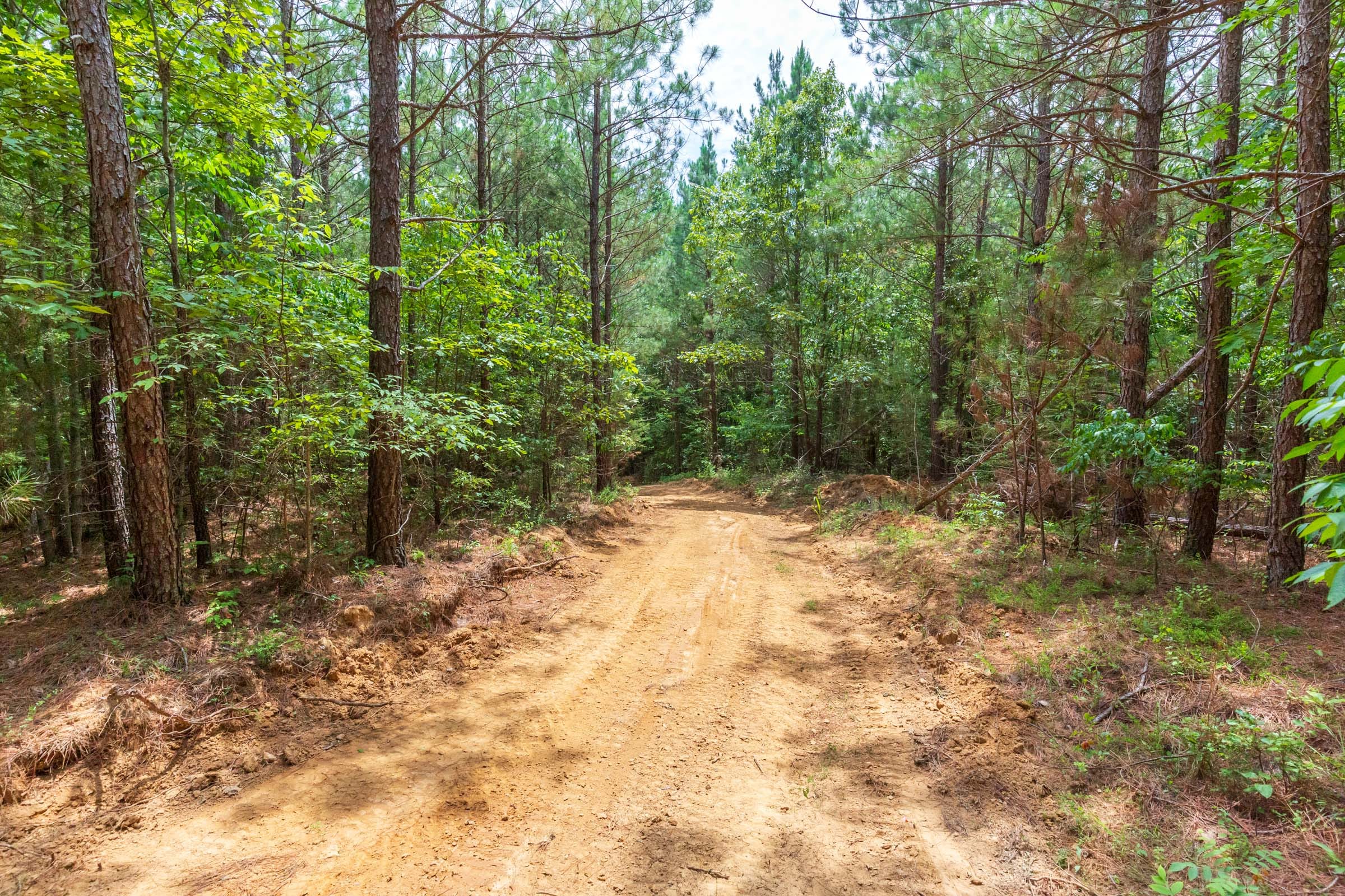 Whiskey Ridge Tract 84 photo 19