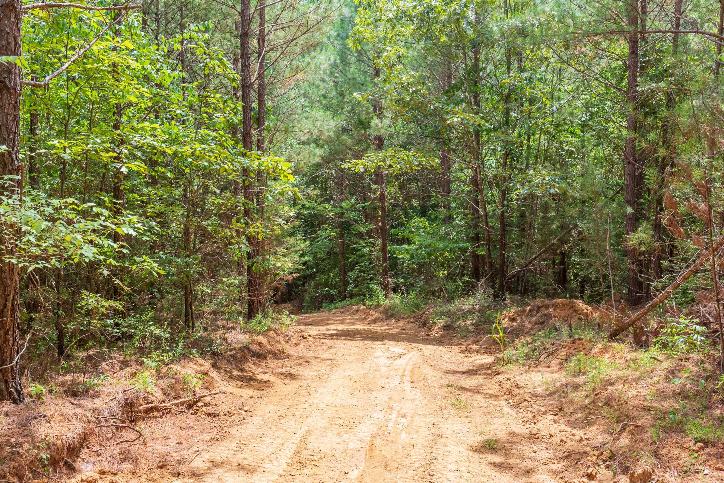 Whiskey Ridge Tract 84 photo 20
