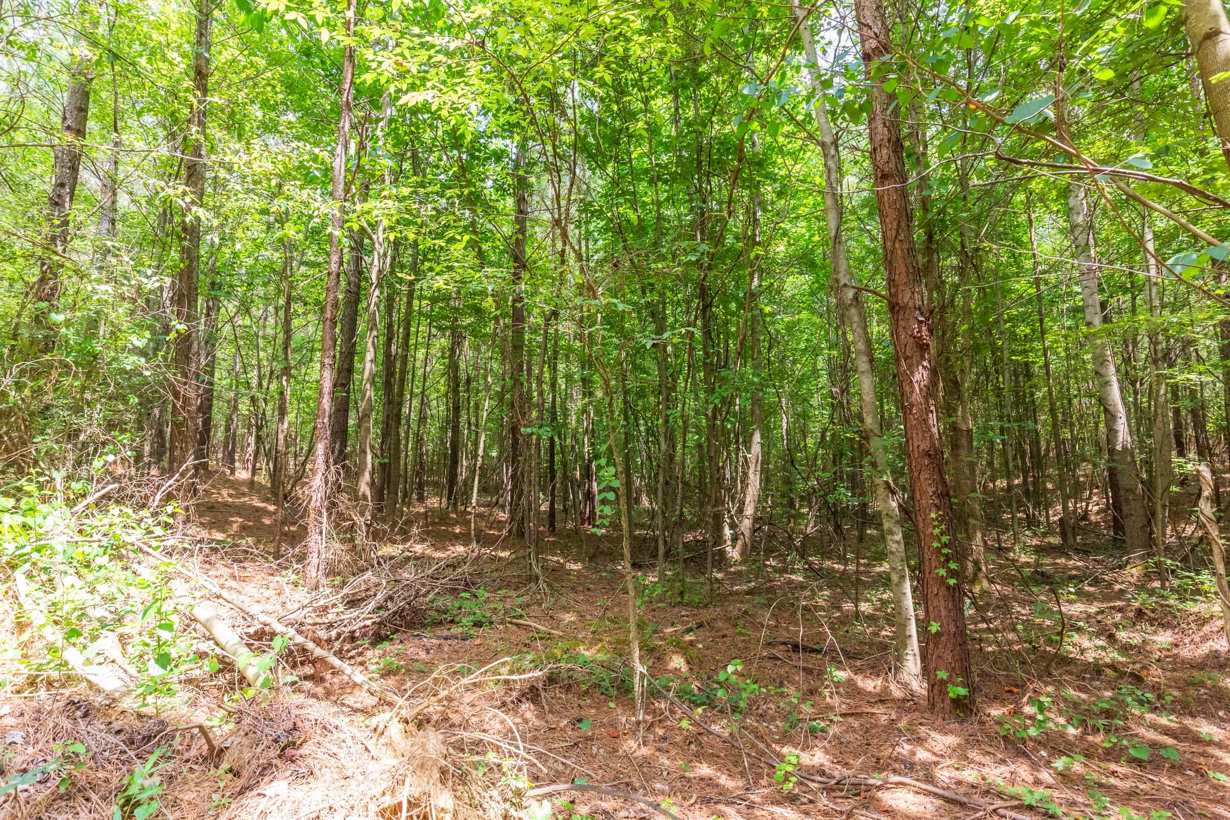 Whiskey Ridge Tract 84 photo 21