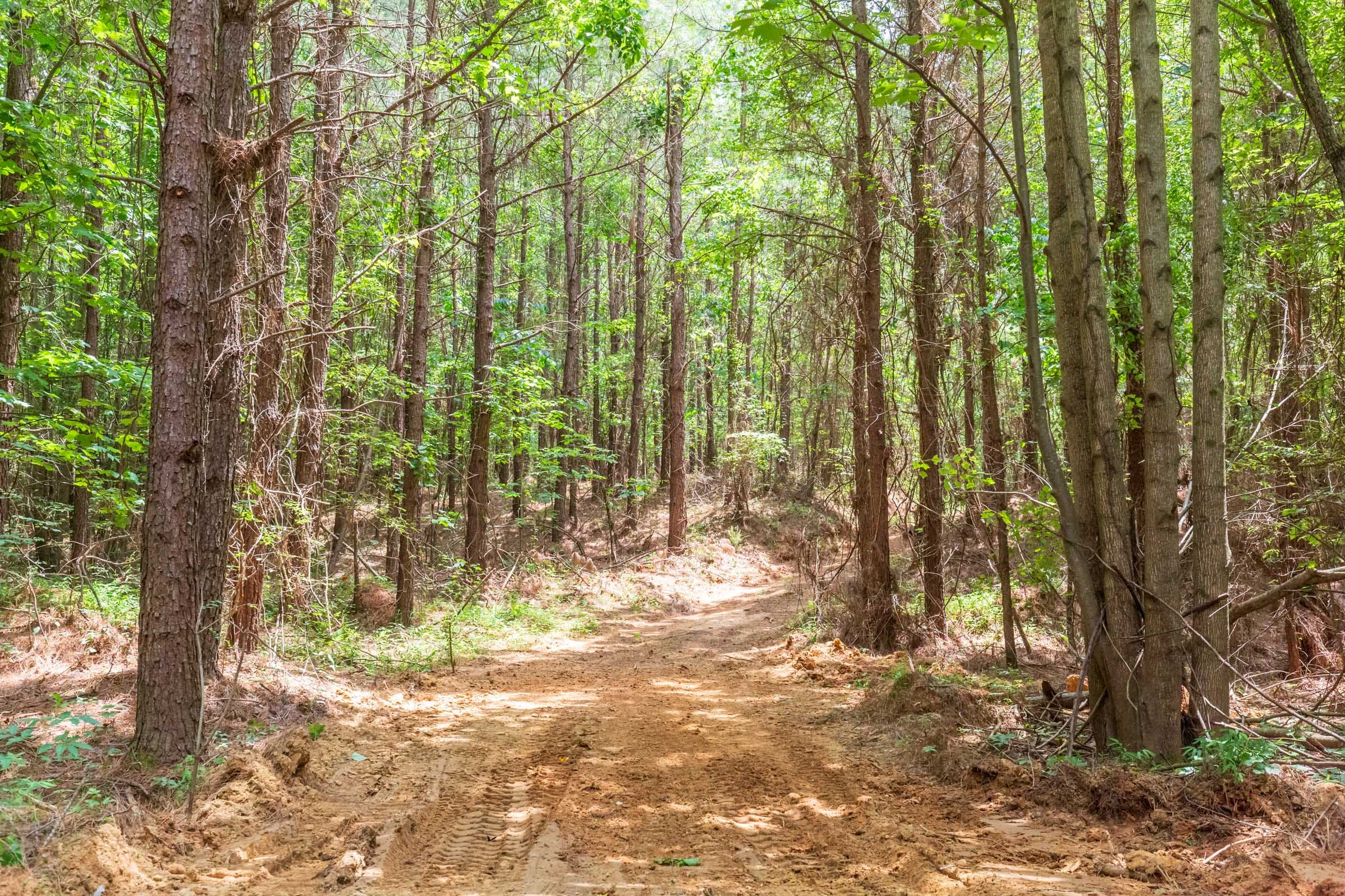 Whiskey Ridge Tract 84 photo 22