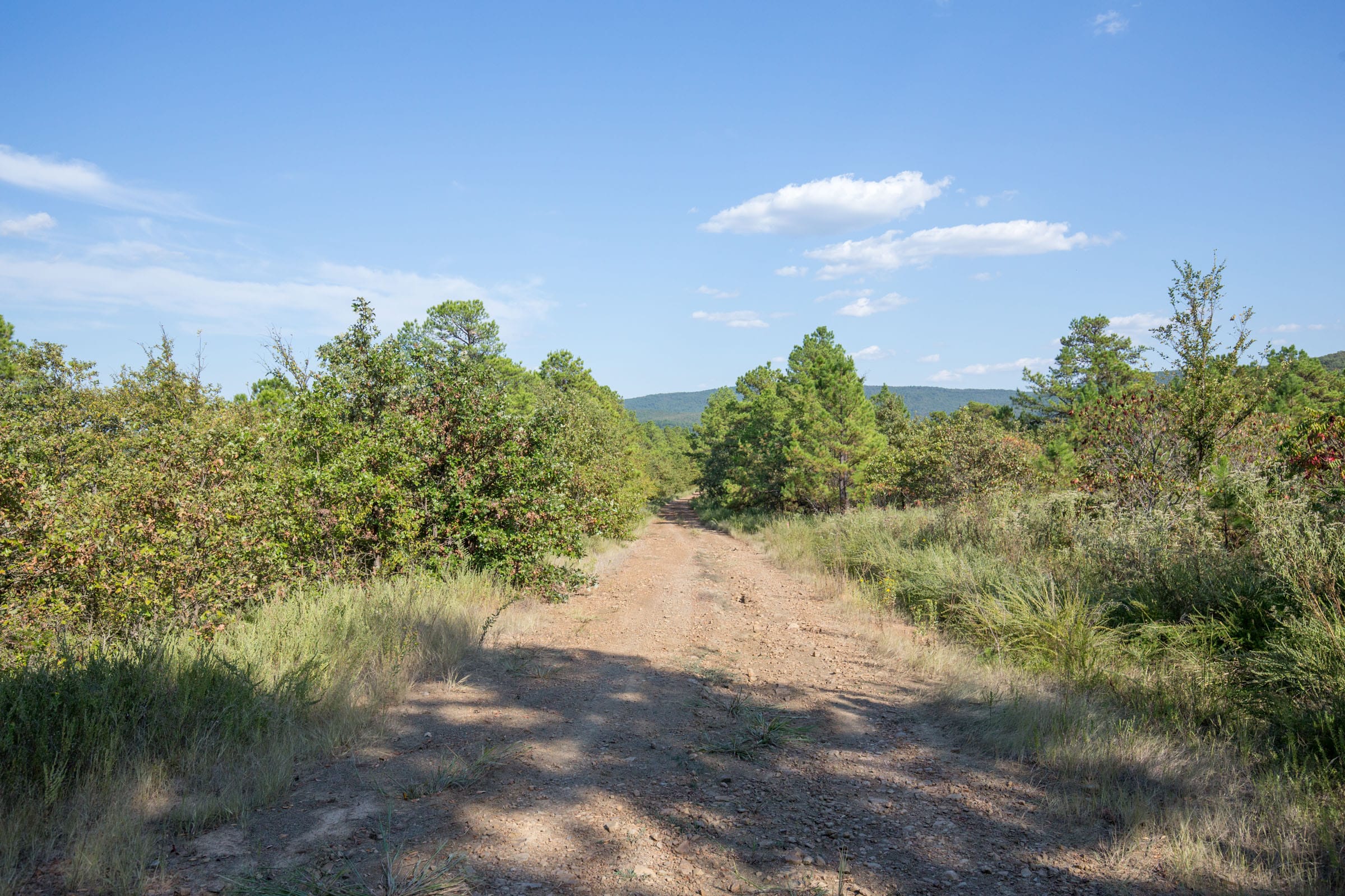 Stone Bridge Phase I Tract 56 photo 1