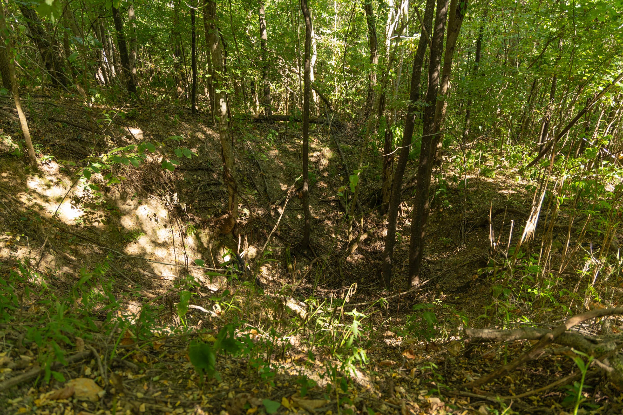 Big White Oak Tract 111 photo 19
