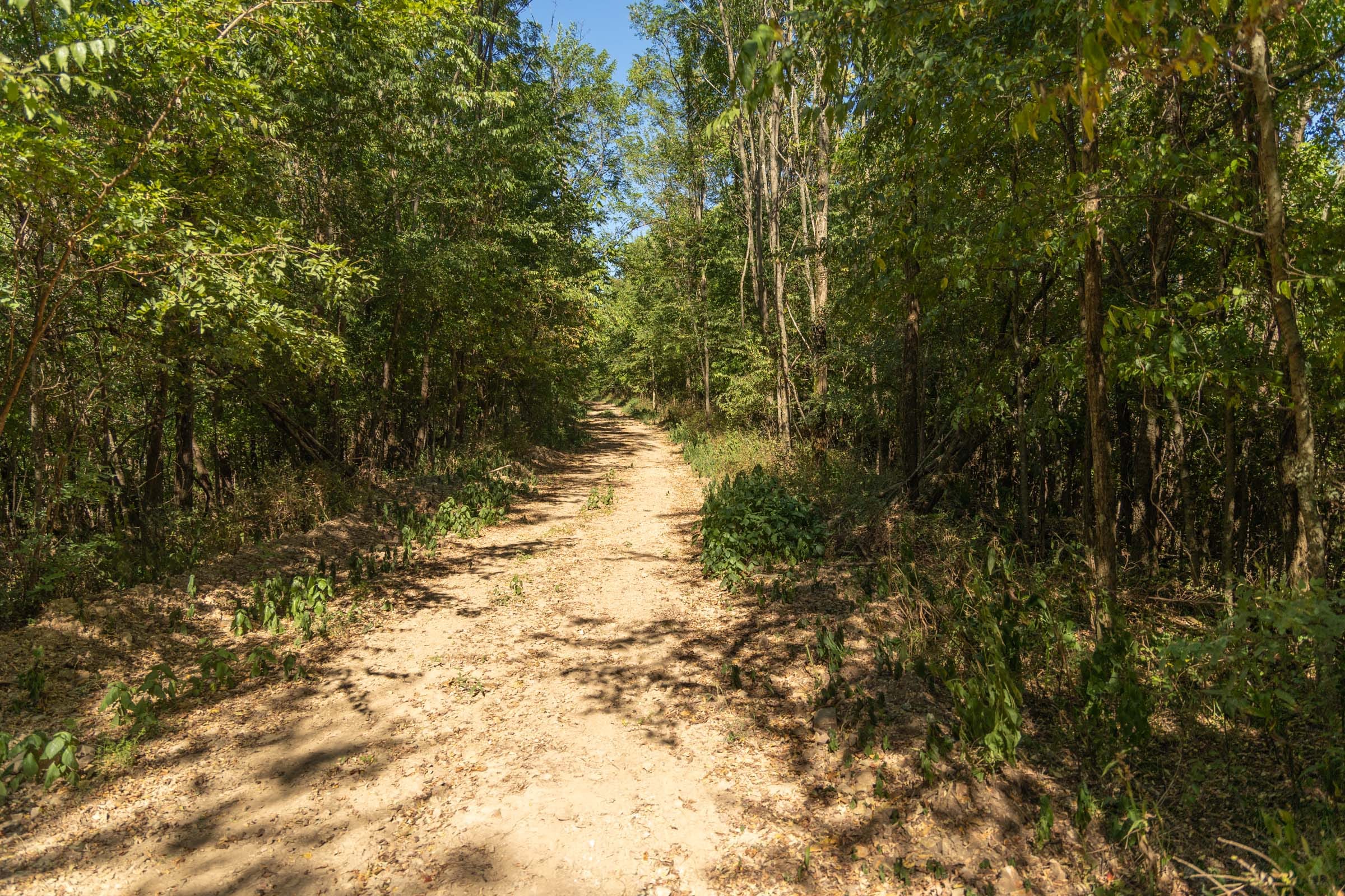 Big White Oak Tract 111 photo 3