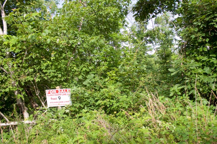 Thunder Mountain Ranch Tract 9 photo 1
