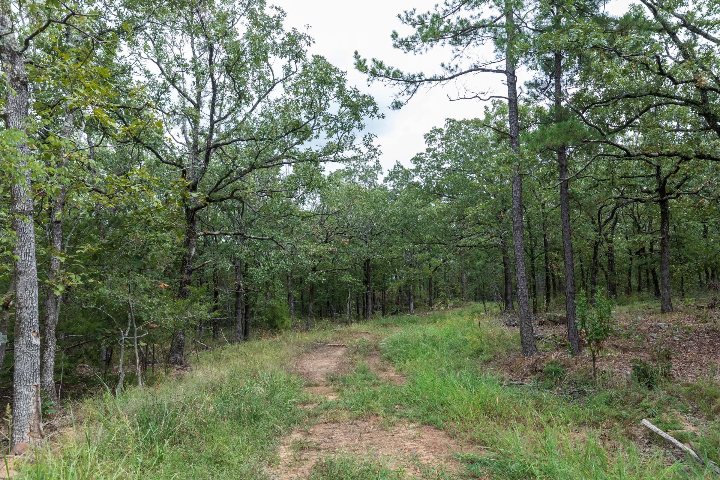 Stone Bridge Phase V Tract 341 photo 15