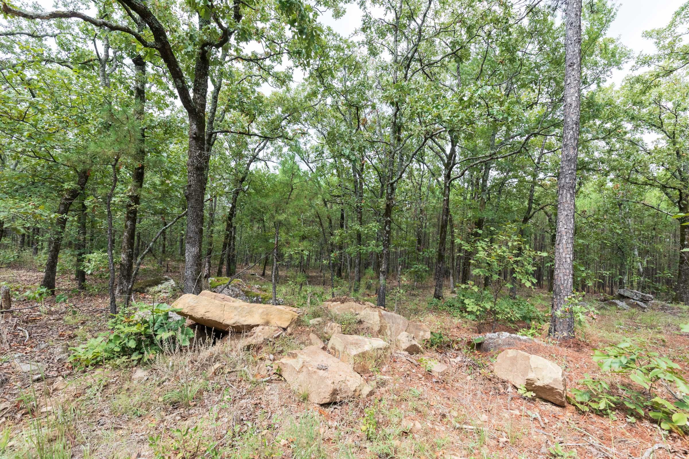 Stone Bridge Phase V Tract 341 photo 16