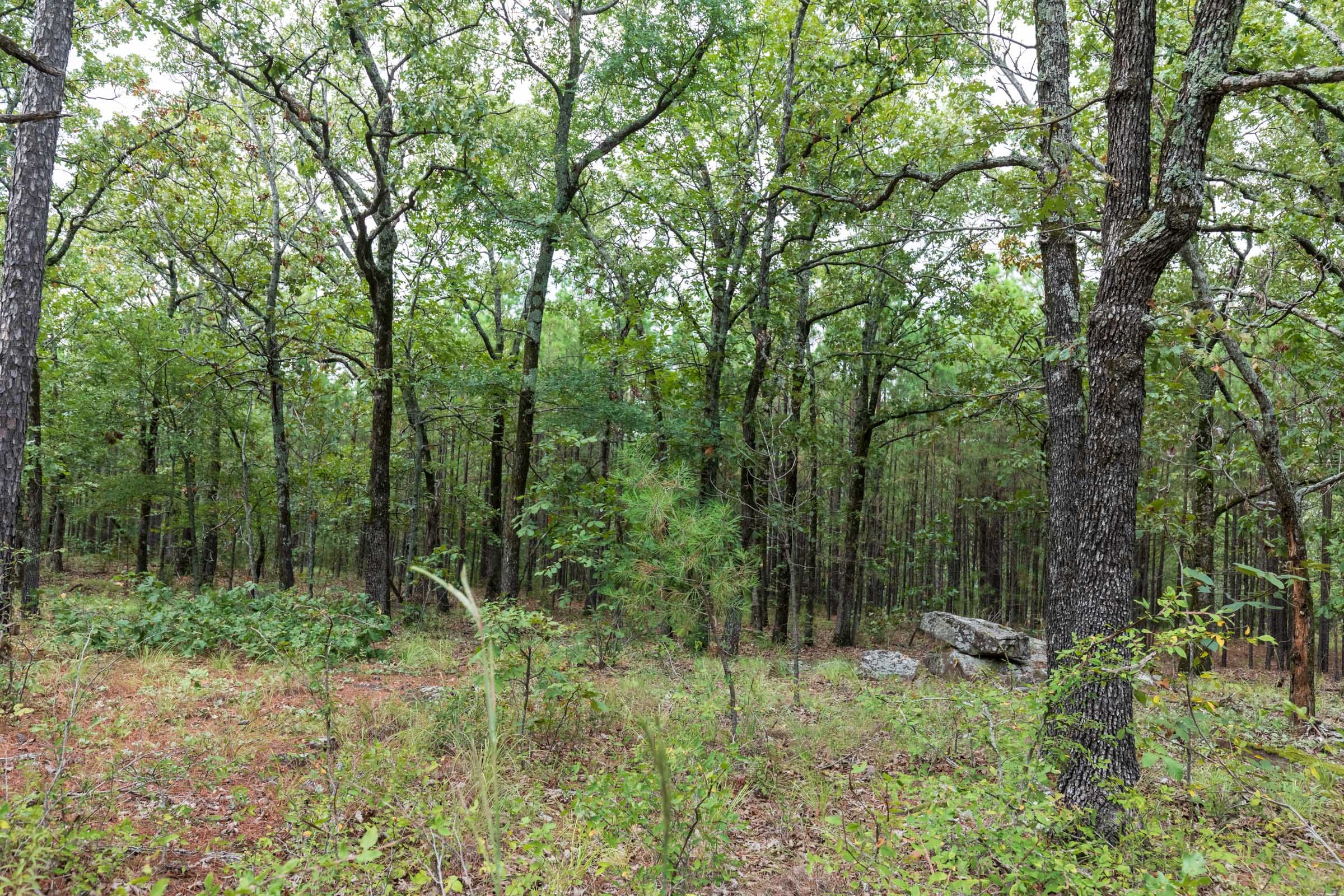Stone Bridge Phase V Tract 341 photo 17