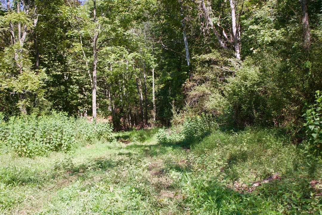Heritage Hollow Tract 31 photo 2