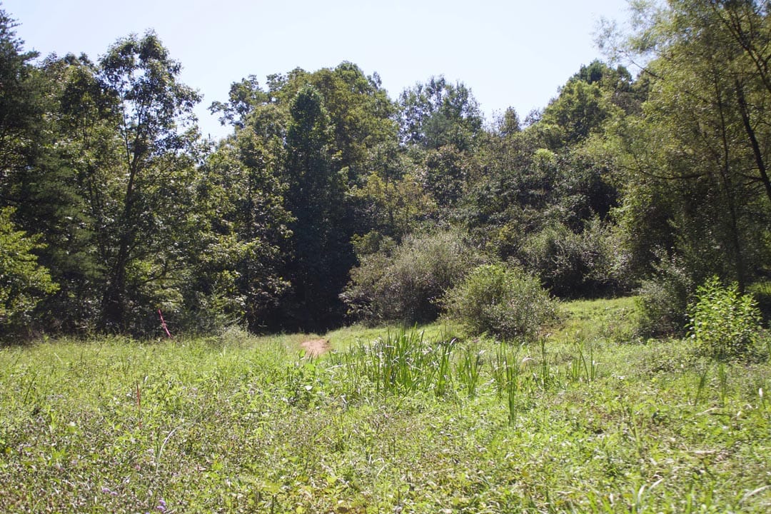 Heritage Hollow Tract 31 photo 4