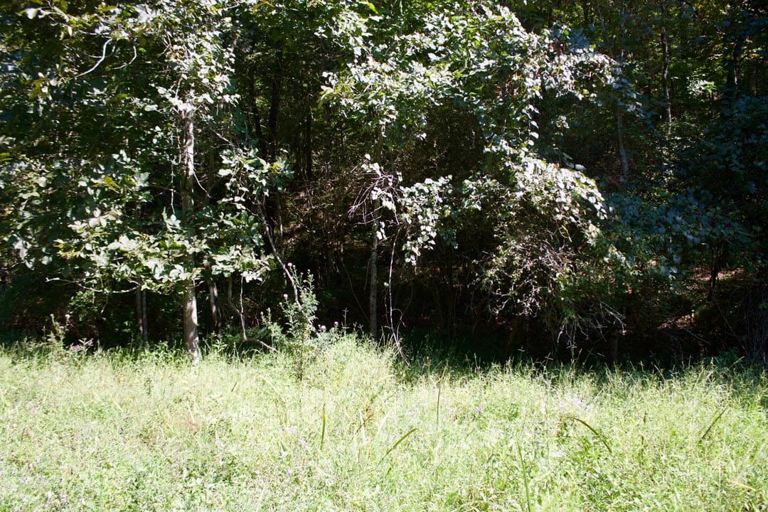 Heritage Hollow Tract 31 photo 7