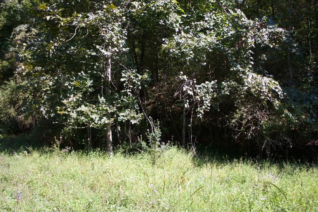 Heritage Hollow Tract 31 photo 8