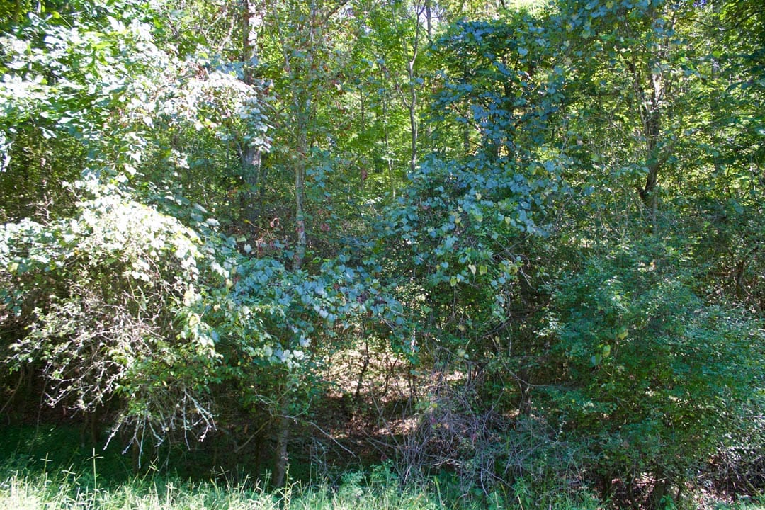 Heritage Hollow Tract 31 photo 9
