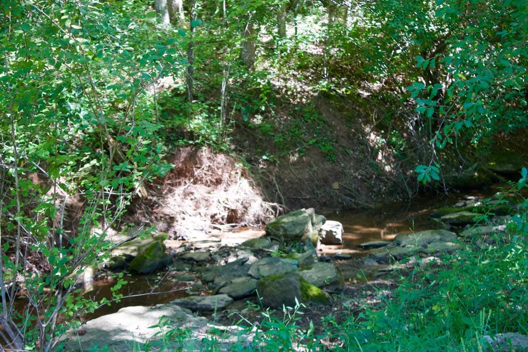 Heritage Hollow Tract 31 photo 12